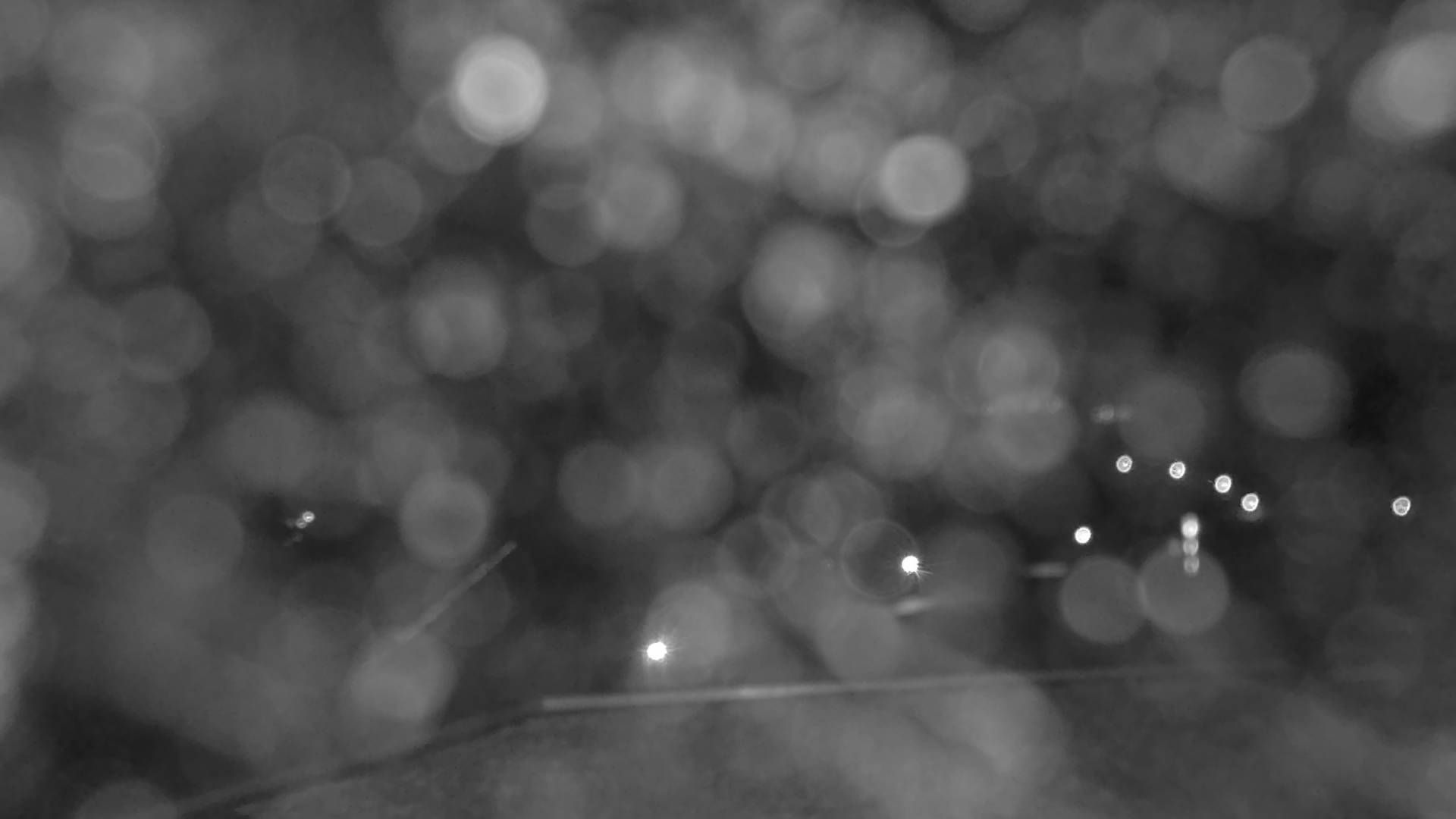 Glarus Nord › Südosten: Walensee - Filzbach