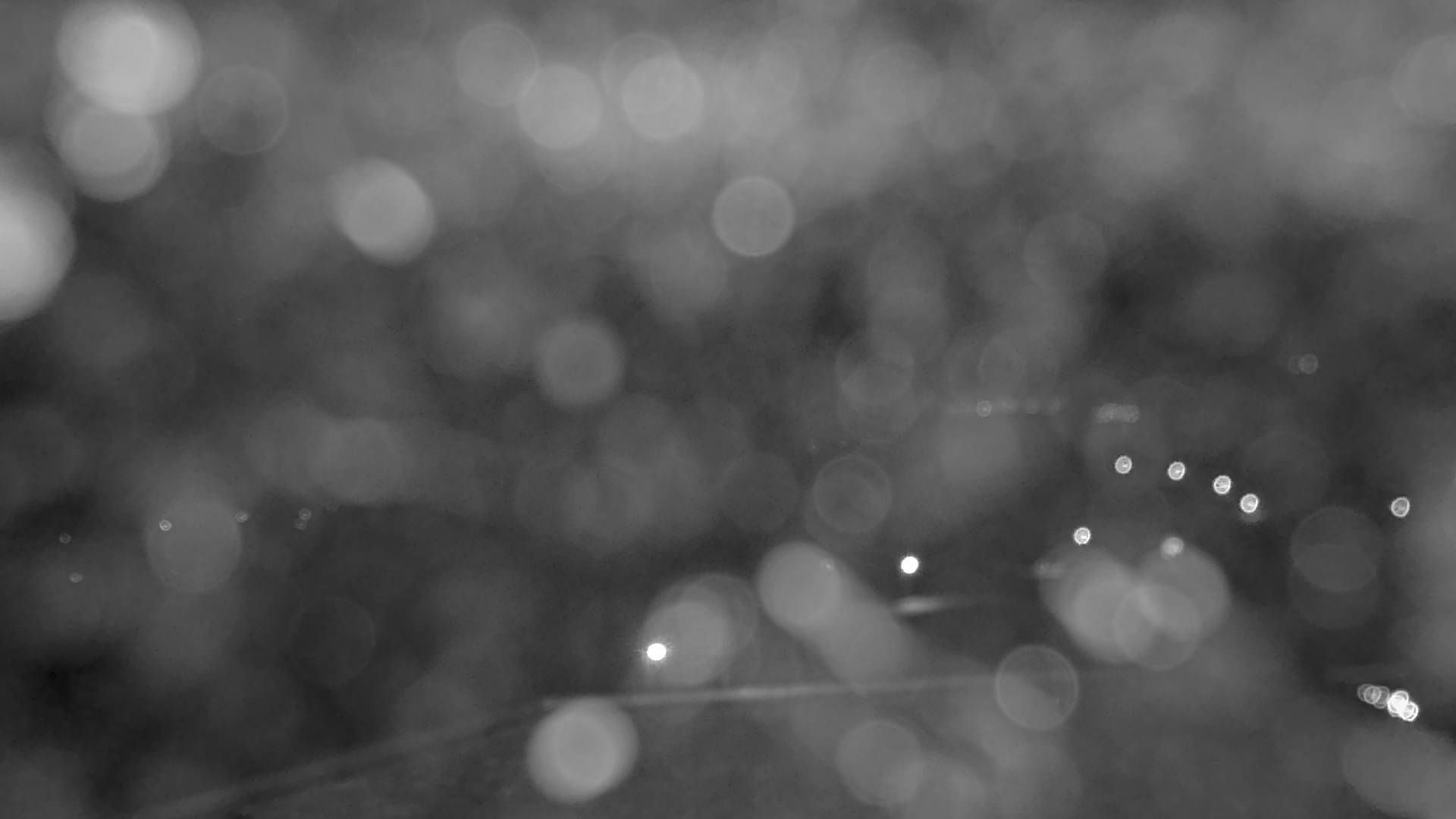 Glarus Nord › Südosten: Walensee - Filzbach