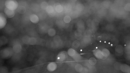 Glarus Nord › Südosten: Walensee - Filzbach