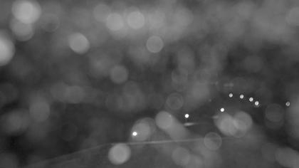 Glarus Nord › Südosten: Walensee - Filzbach