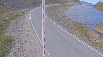 Nervei i dag