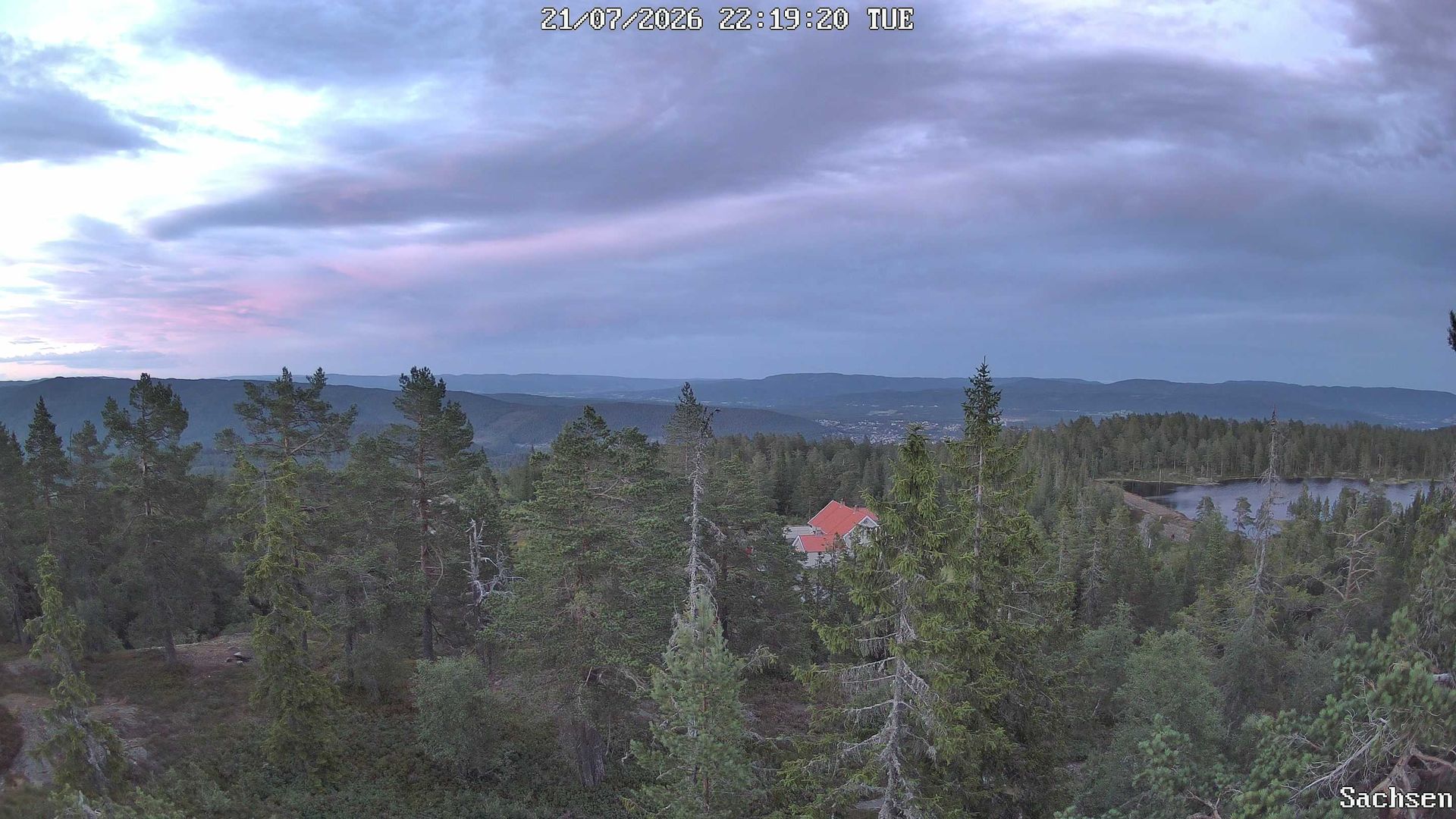 Svene på dagtid