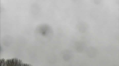 Recent Harlow Webcam Image