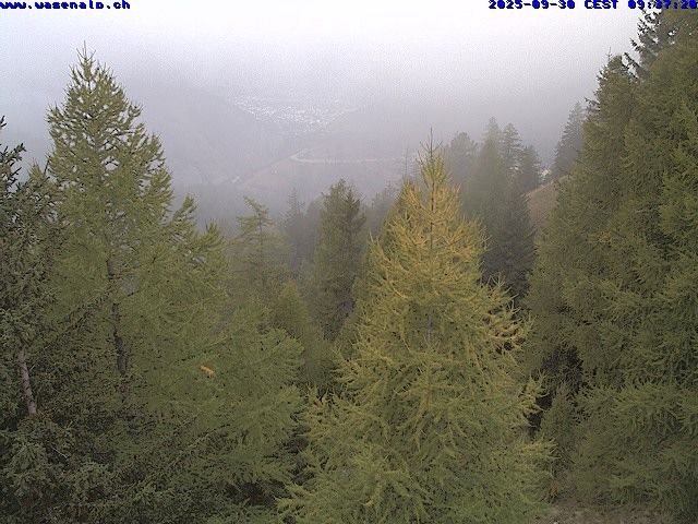 Traffic Cam Ried-Brig: Berggasthaus Wasenalp am Simplon