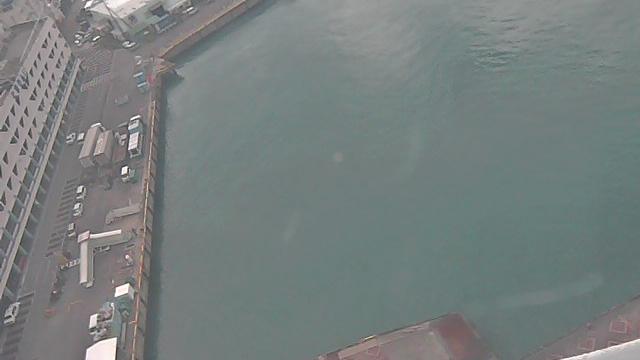 Scenic Naha Harbor: Okinawas Gem Webcam
