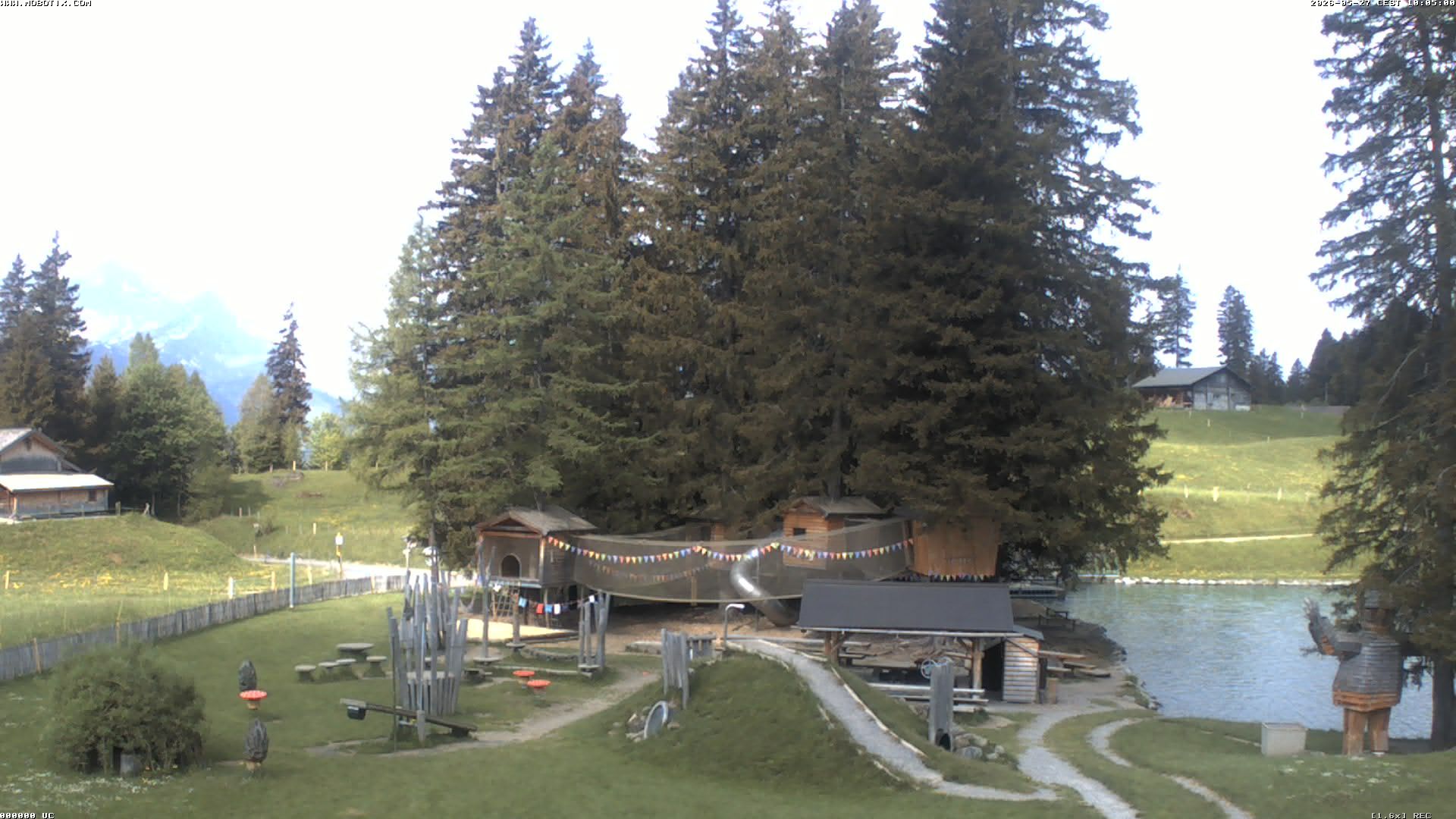 Hasliberg: Bidmi - Meiringen