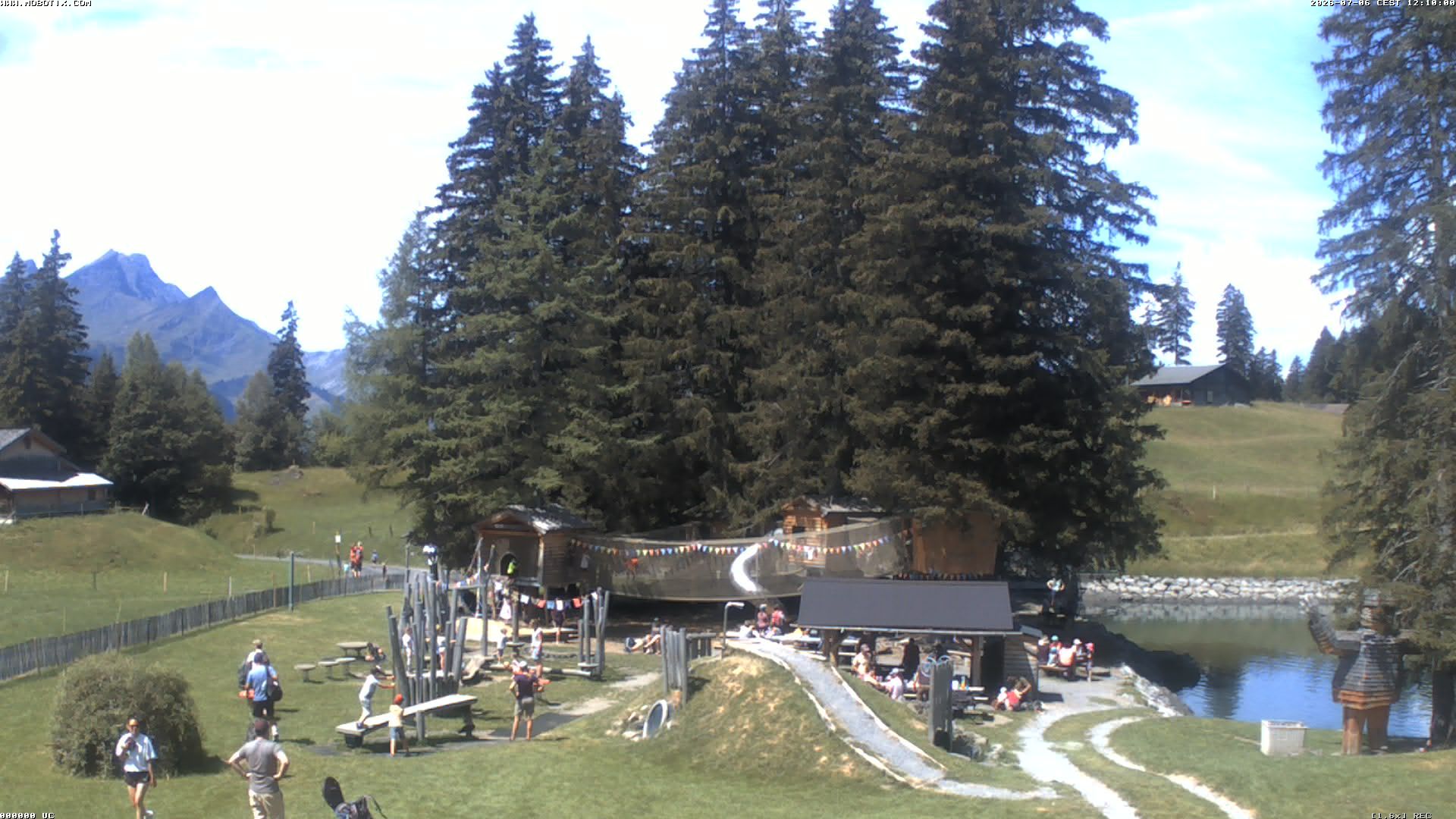 Hasliberg: Bidmi - Meiringen