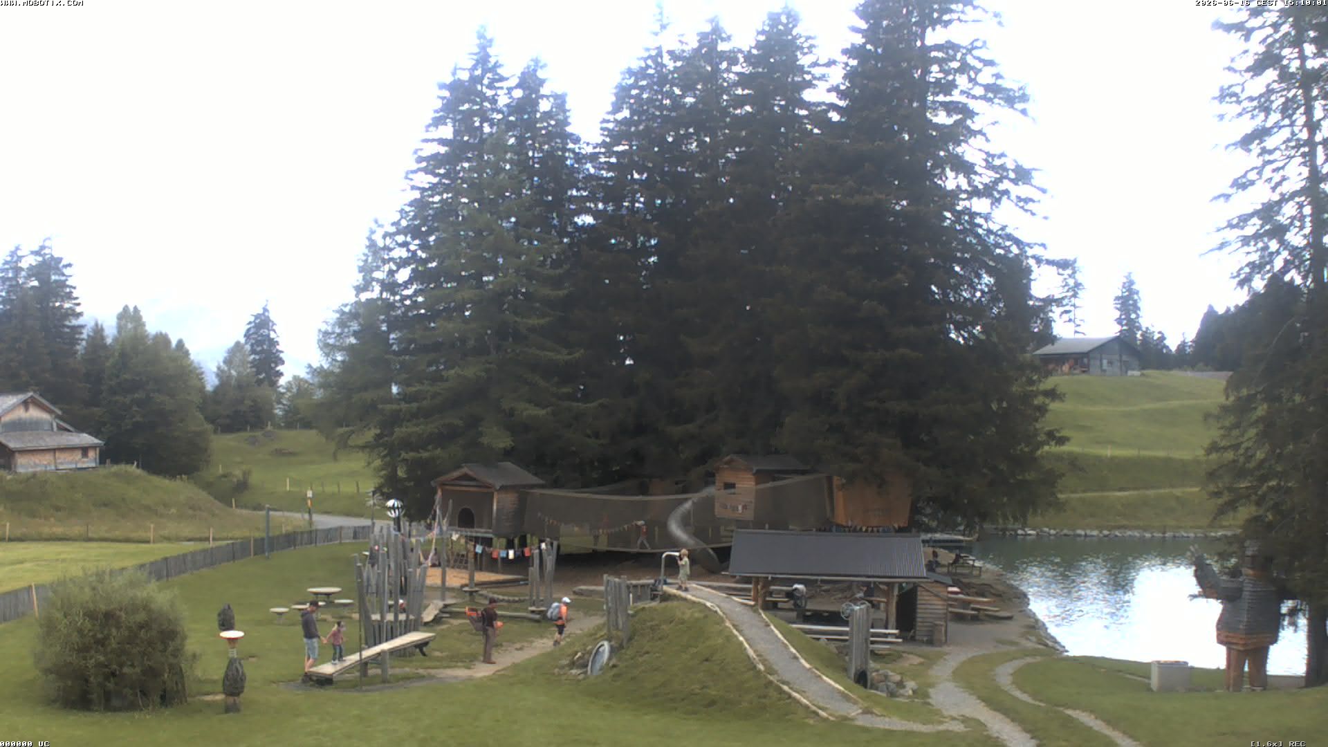 Hasliberg: Bidmi - Meiringen