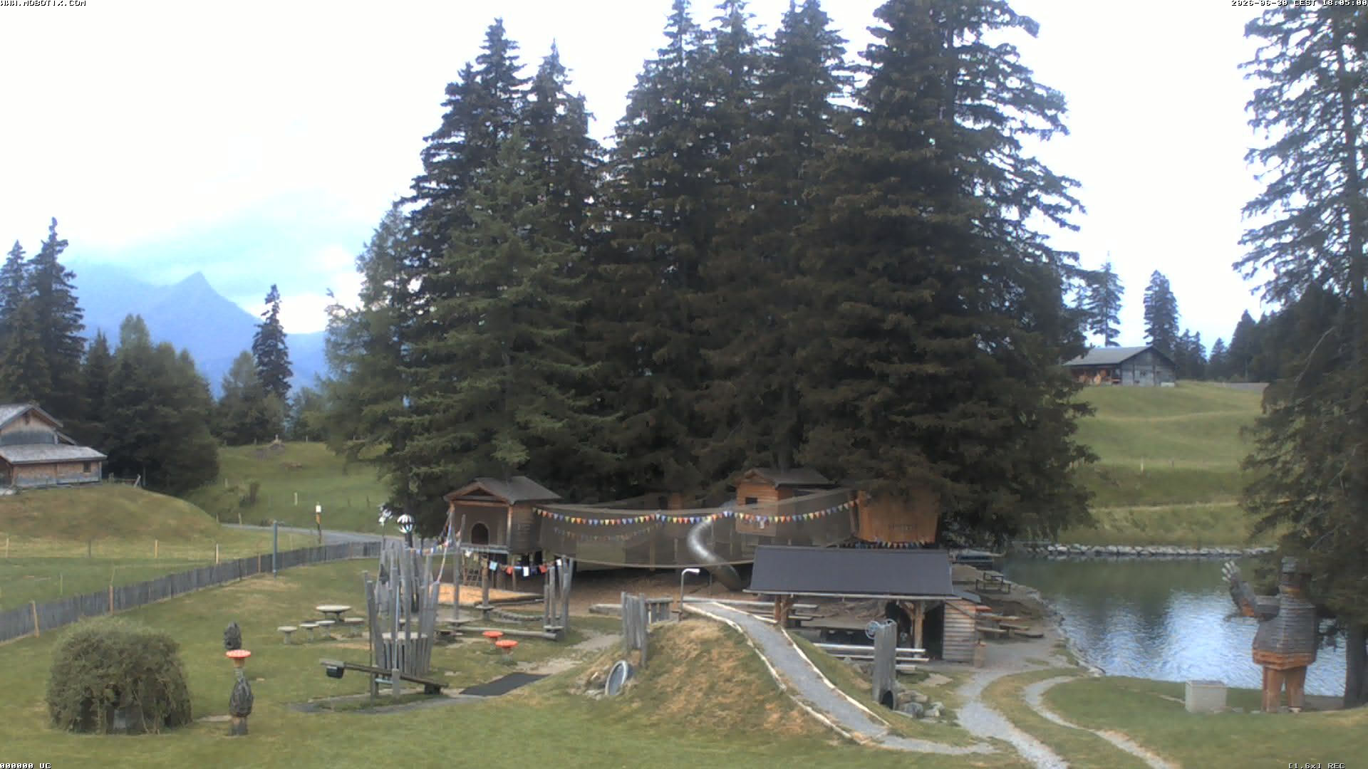 Hasliberg: Bidmi - Meiringen