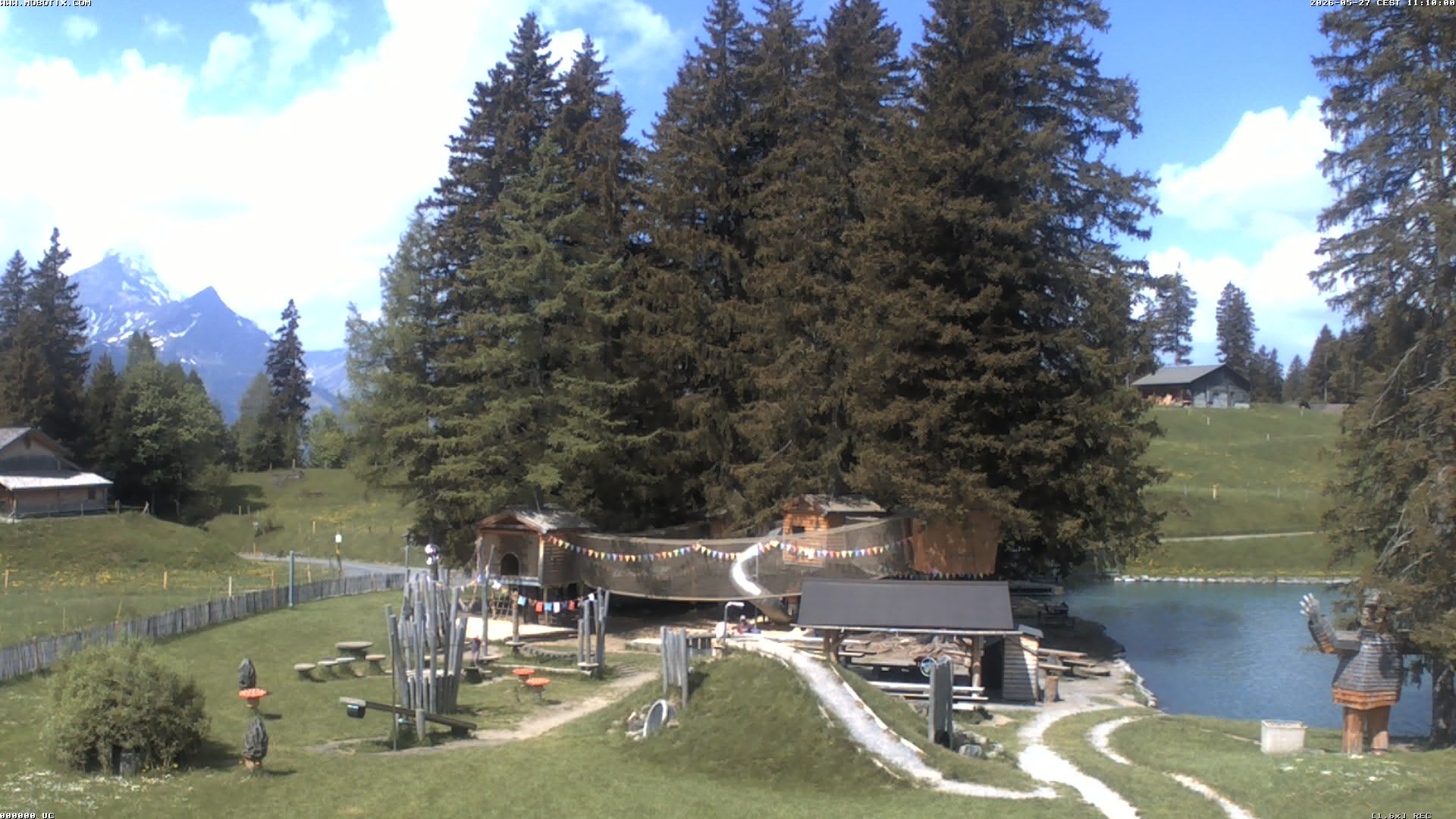 Hasliberg: Bidmi - Meiringen