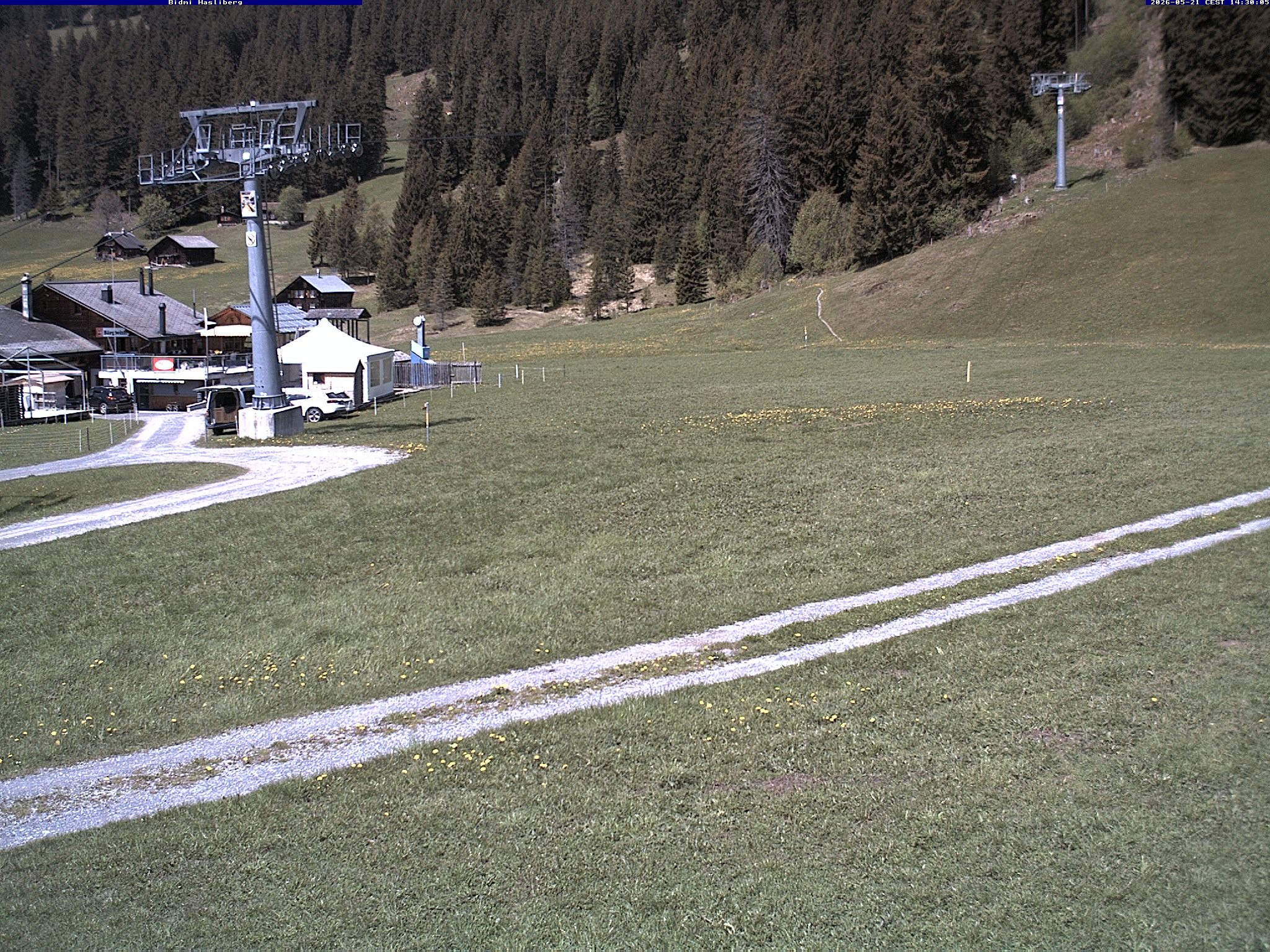 Hasliberg: Bidmi - Meiringen