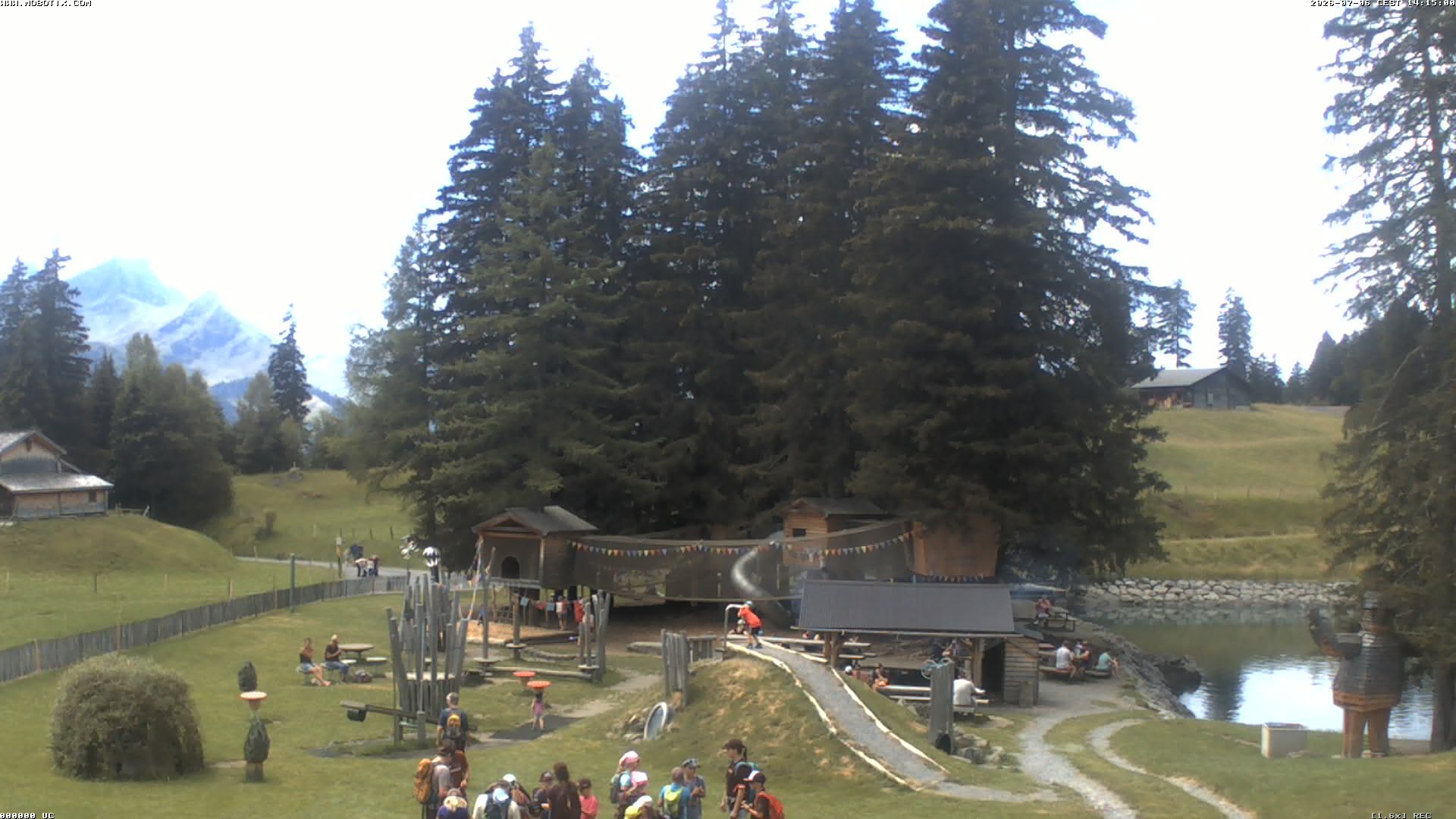 Hasliberg: Bidmi - Meiringen