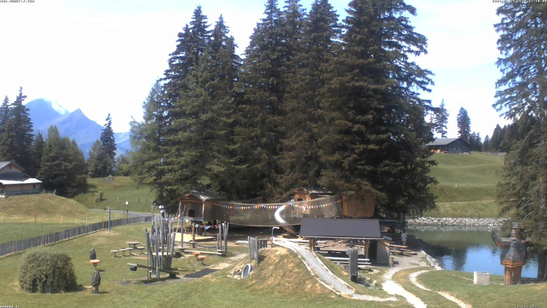 Hasliberg: Bidmi - Meiringen