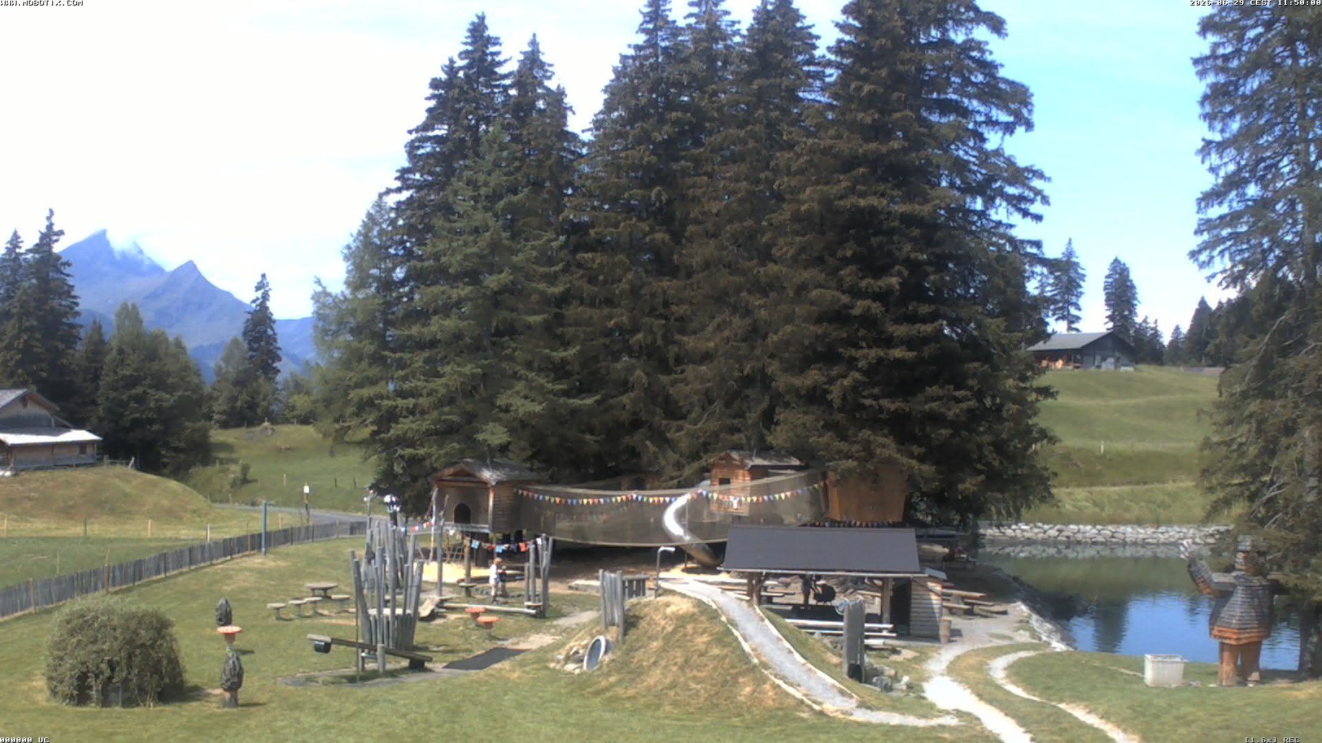 Hasliberg: Bidmi - Meiringen