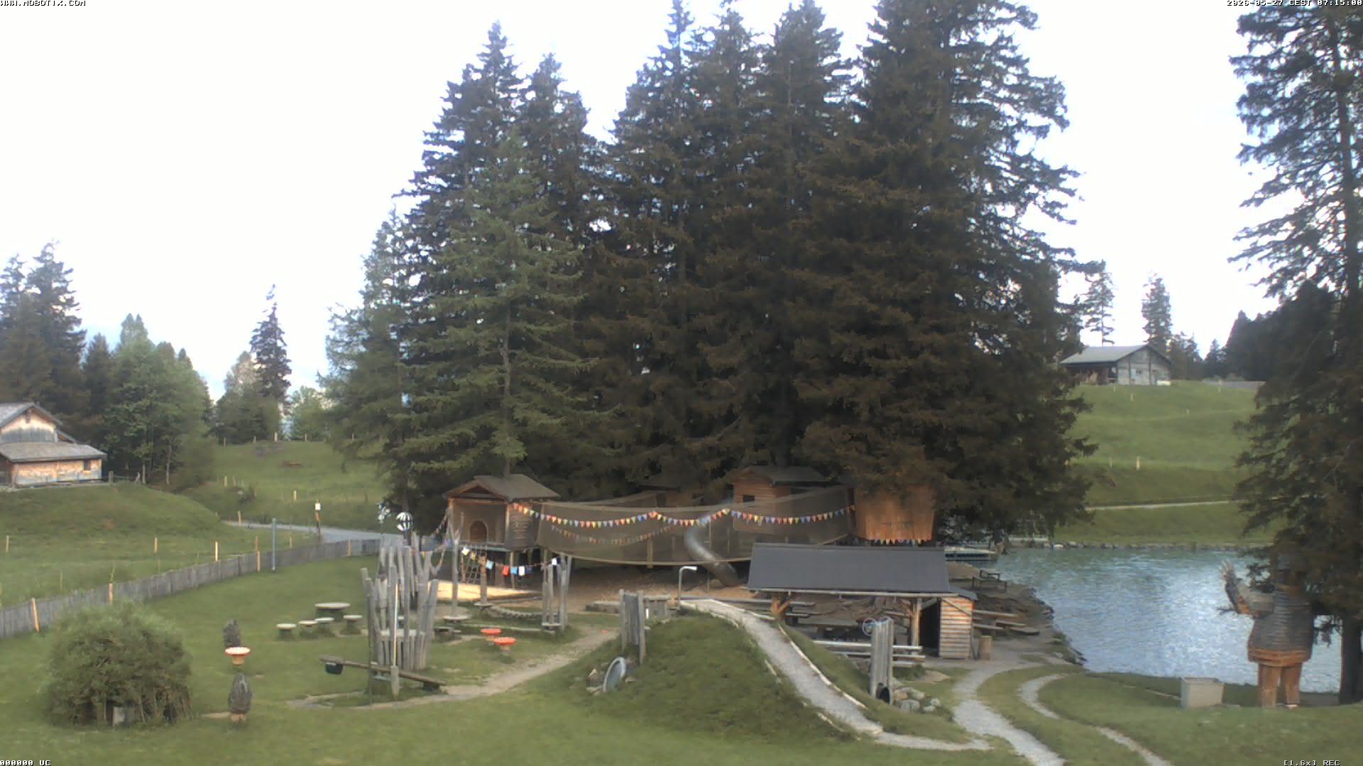 Hasliberg: Bidmi - Meiringen
