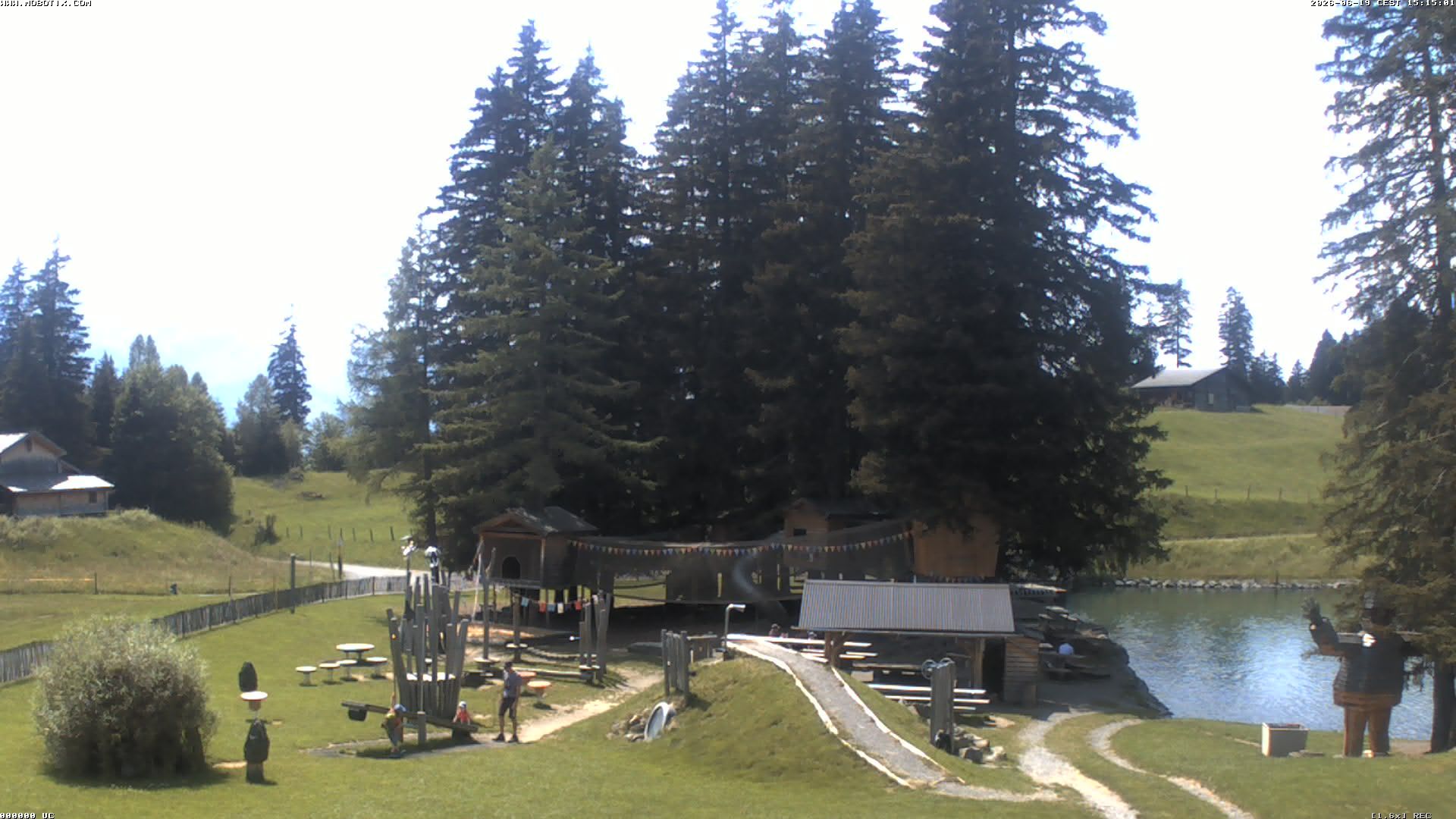 Hasliberg: Bidmi - Meiringen