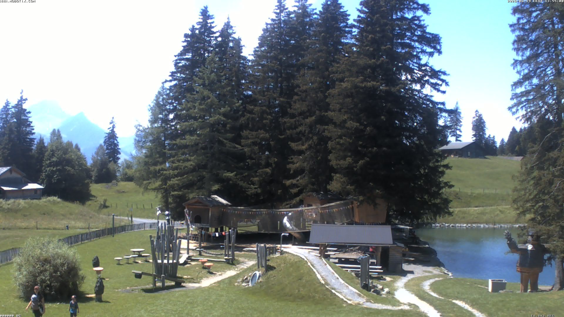Hasliberg: Bidmi - Meiringen