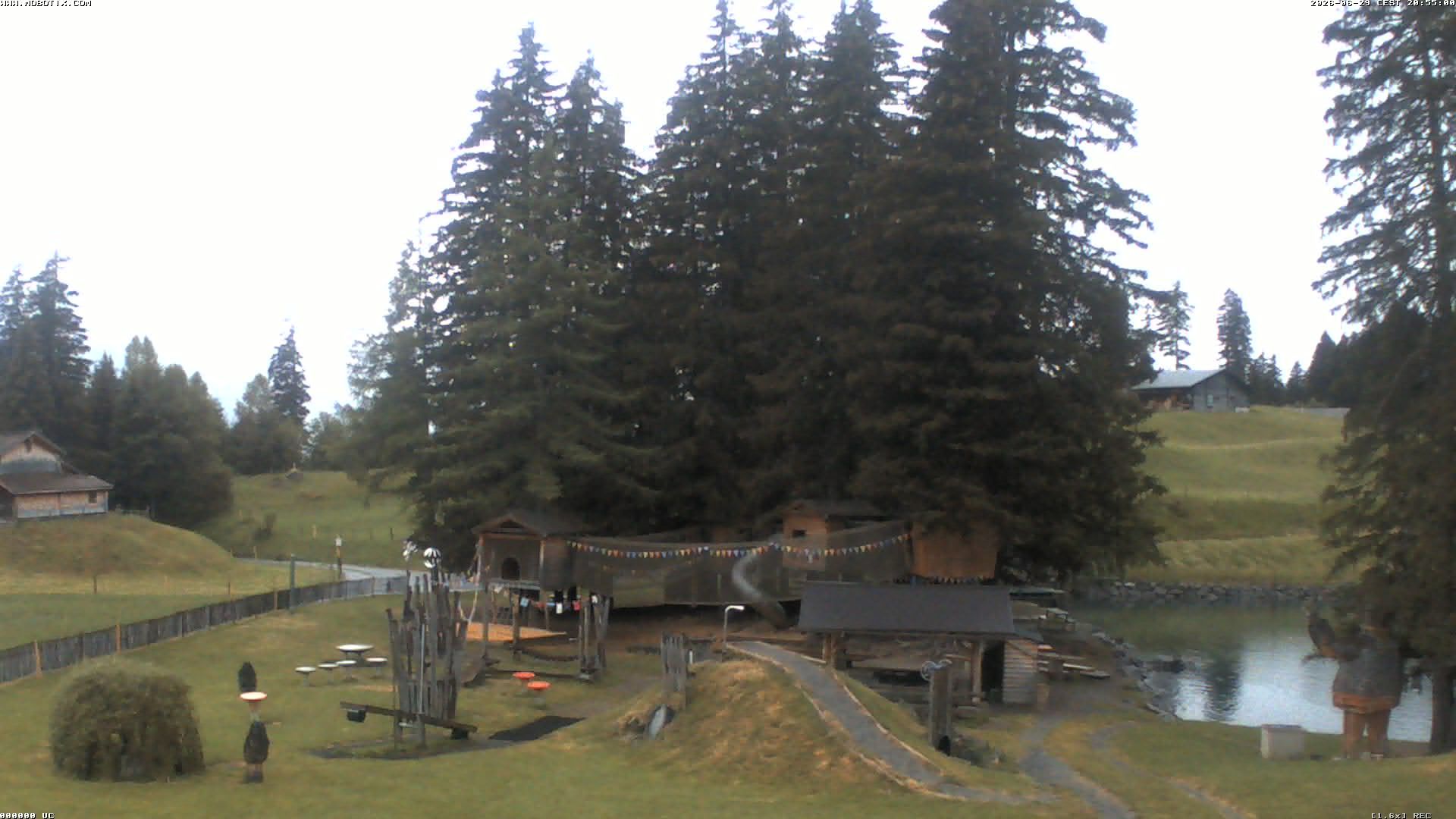 Hasliberg: Bidmi - Meiringen