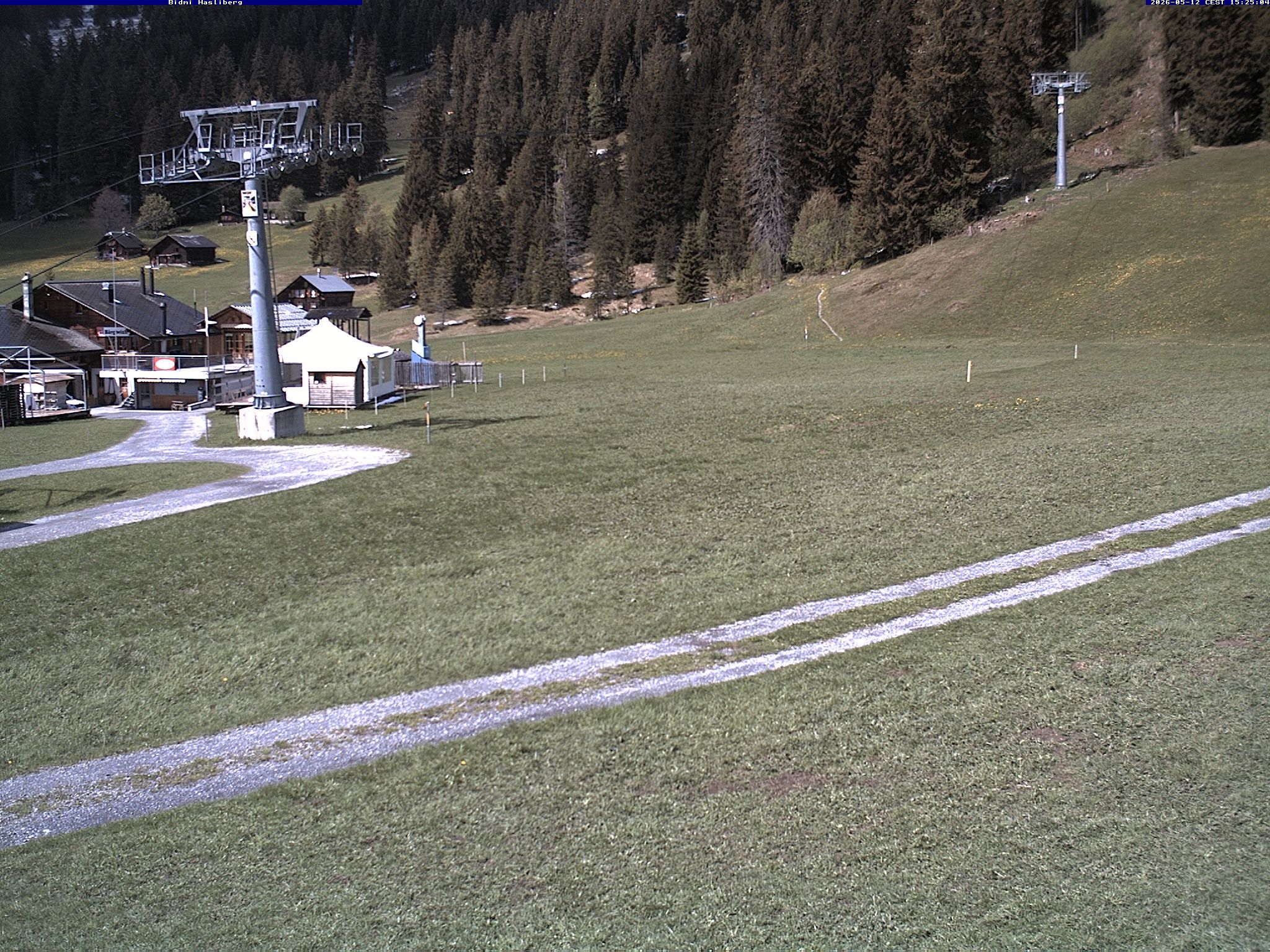 Hasliberg: Bidmi - Meiringen