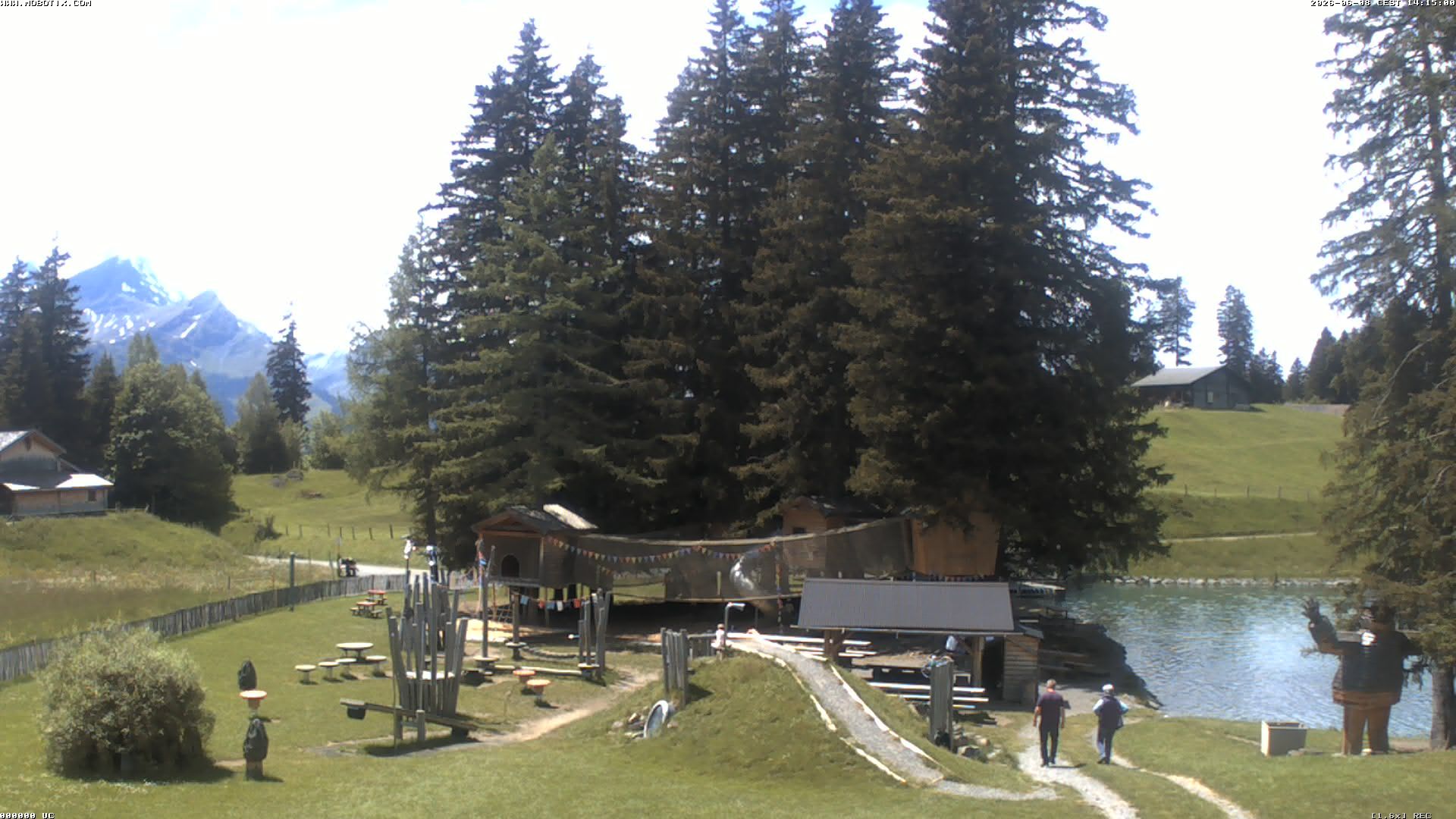 Hasliberg: Bidmi - Meiringen