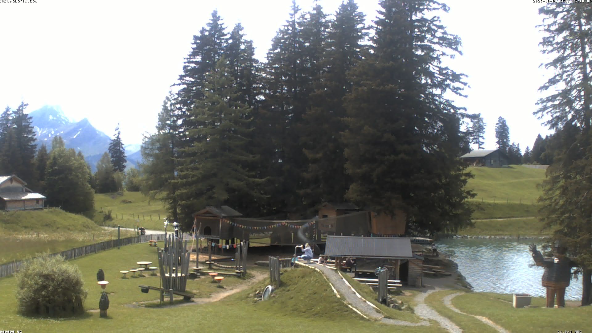 Hasliberg: Bidmi - Meiringen