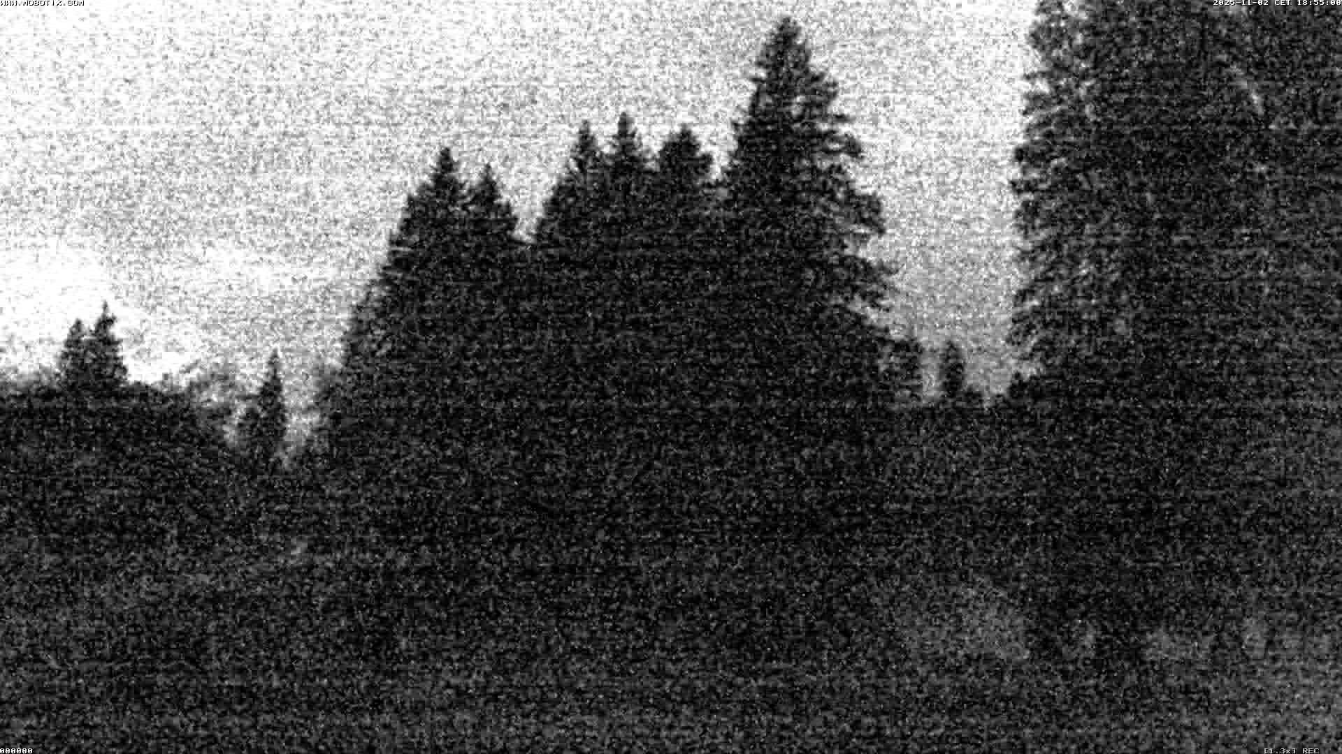 Hasliberg: Bidmi - Meiringen