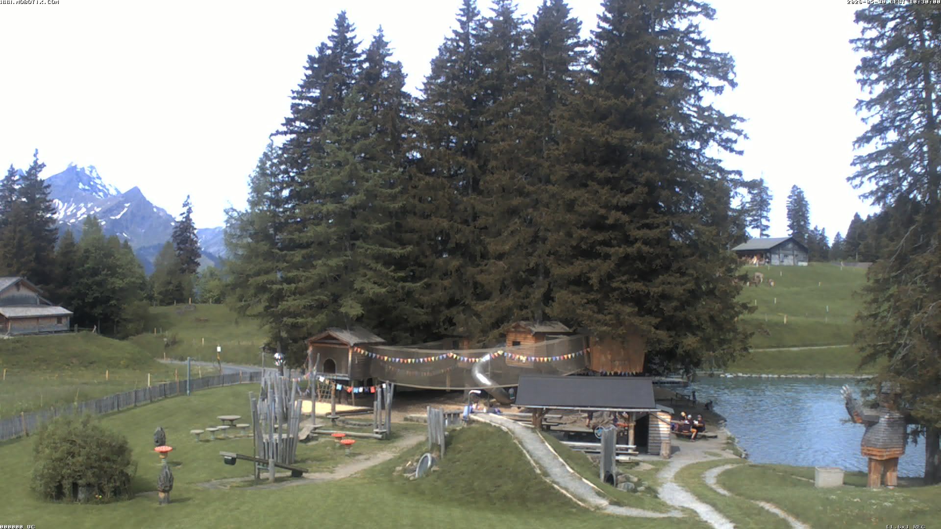 Hasliberg: Bidmi - Meiringen