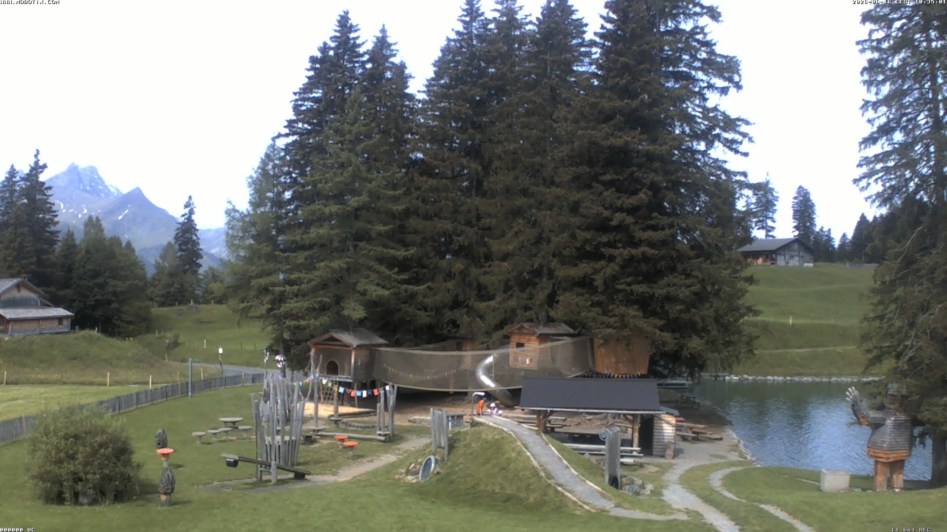 Hasliberg: Bidmi - Meiringen