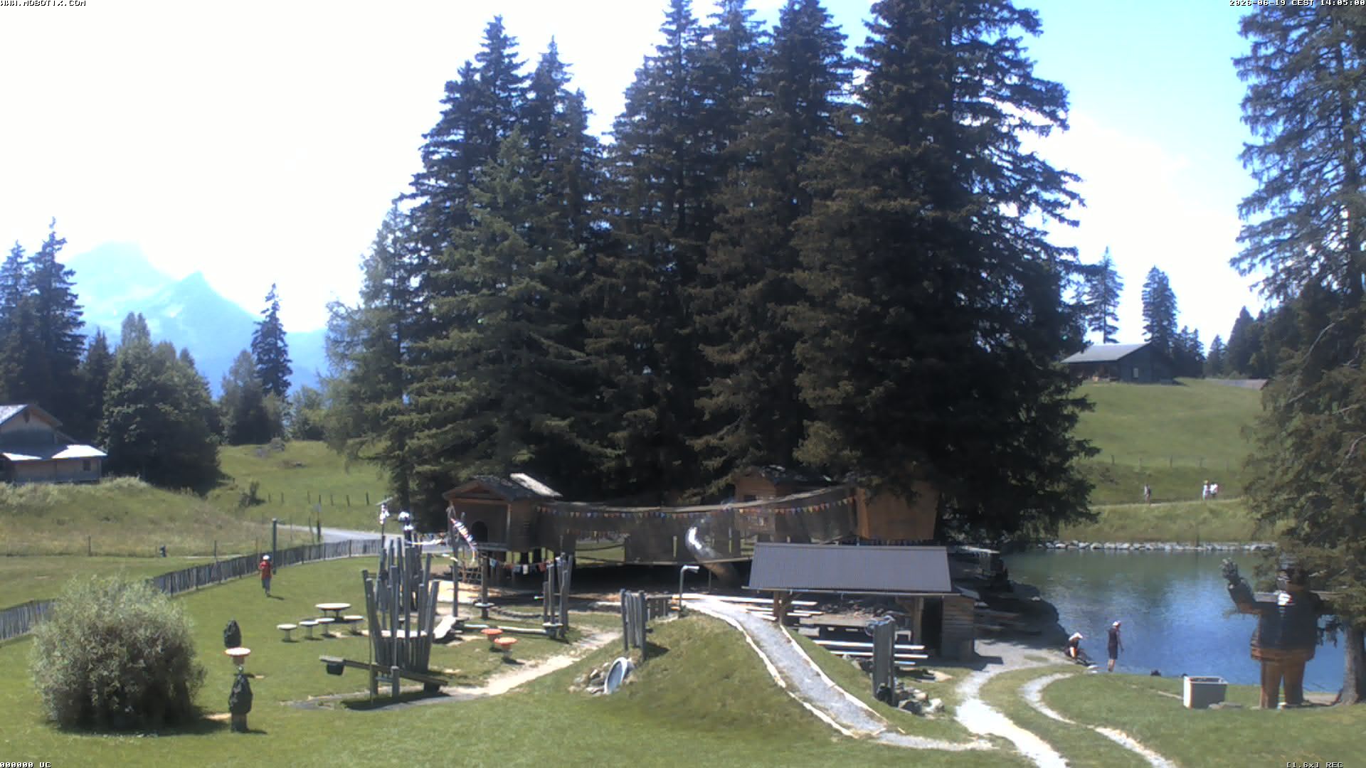 Hasliberg: Bidmi - Meiringen
