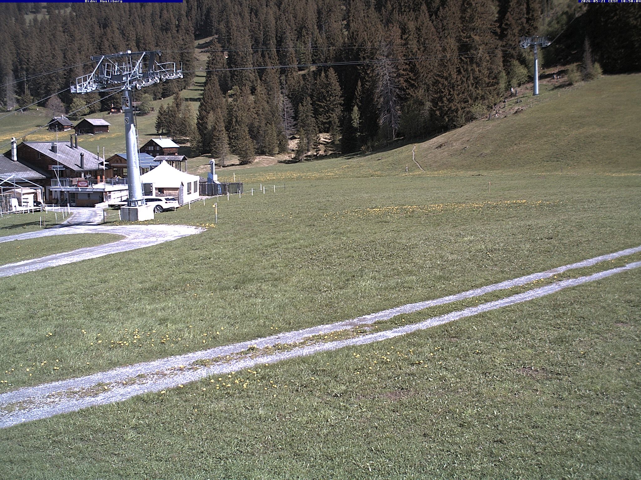 Hasliberg: Bidmi - Meiringen