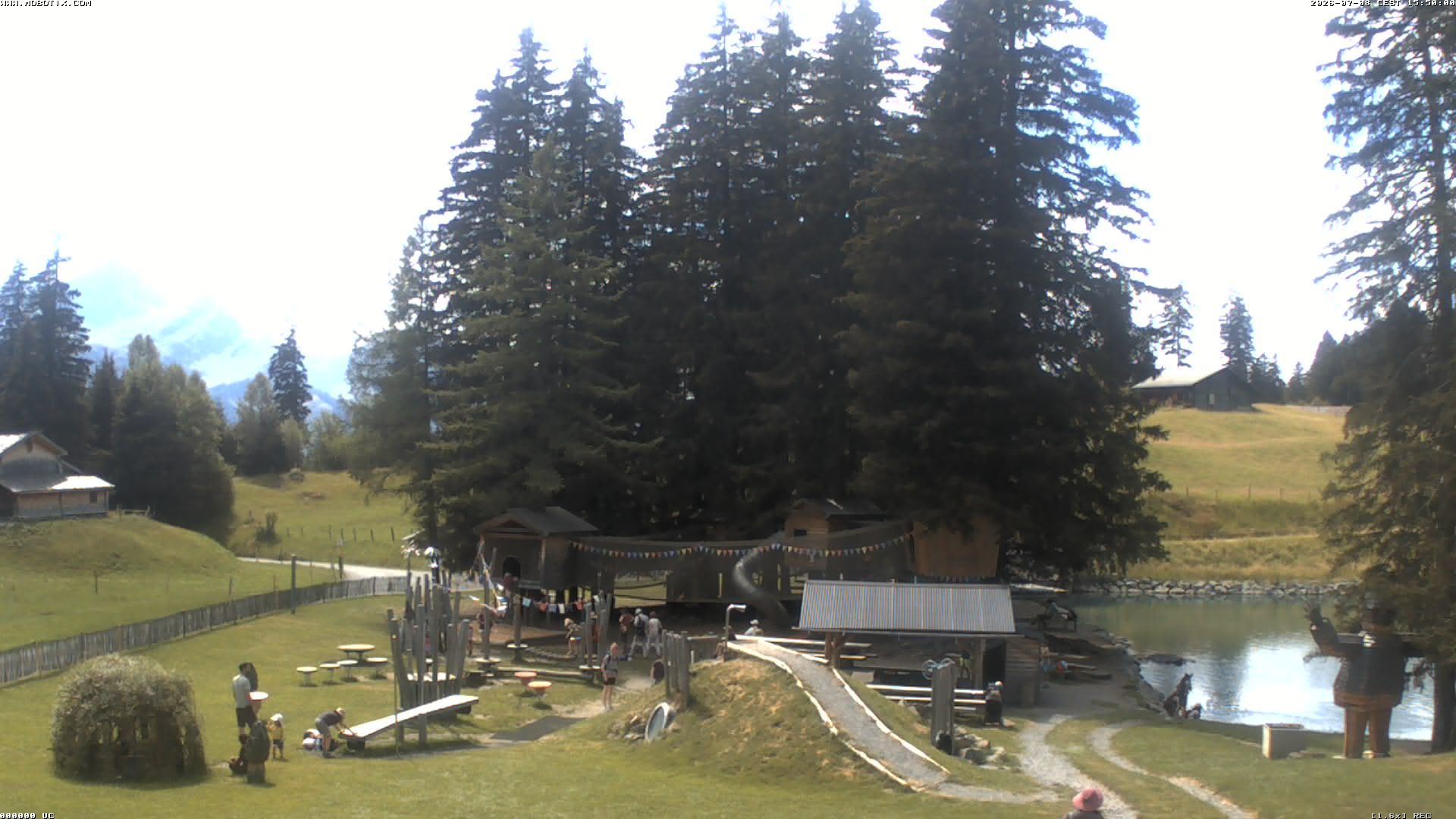 Hasliberg: Bidmi - Meiringen