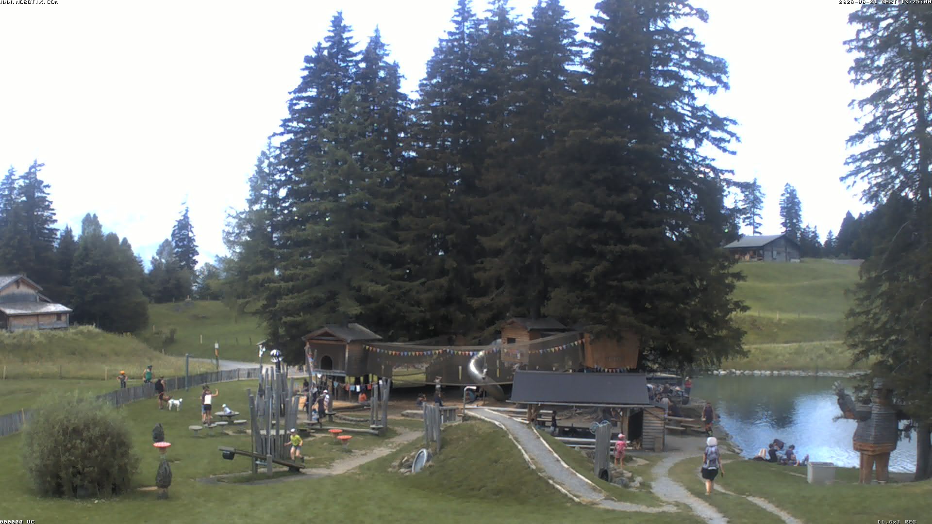 Hasliberg: Bidmi - Meiringen