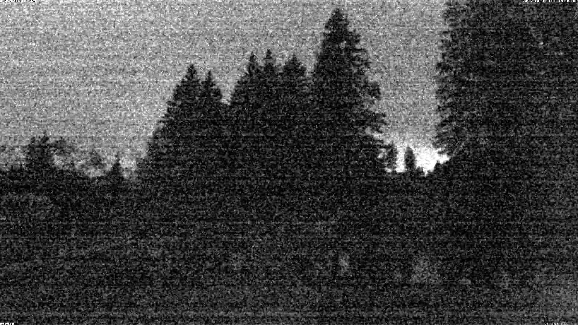 Hasliberg: Bidmi - Meiringen