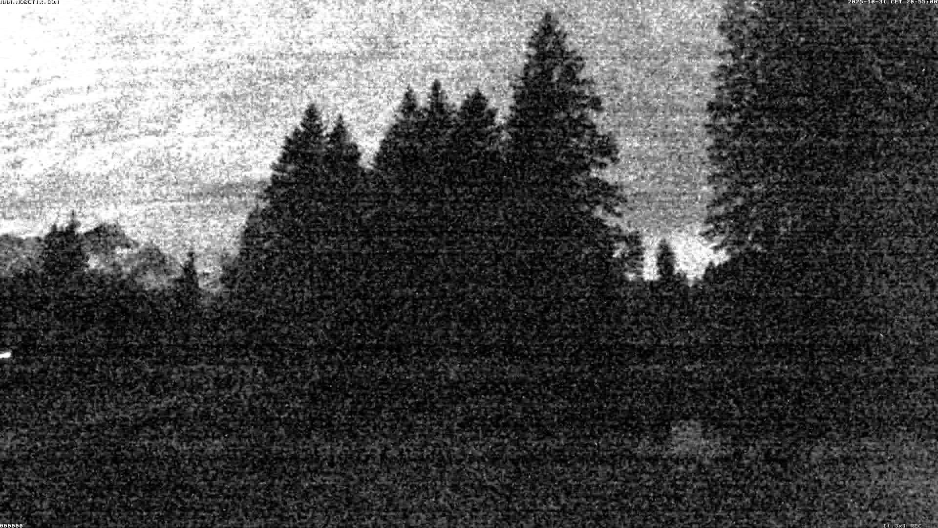 Hasliberg: Bidmi - Meiringen