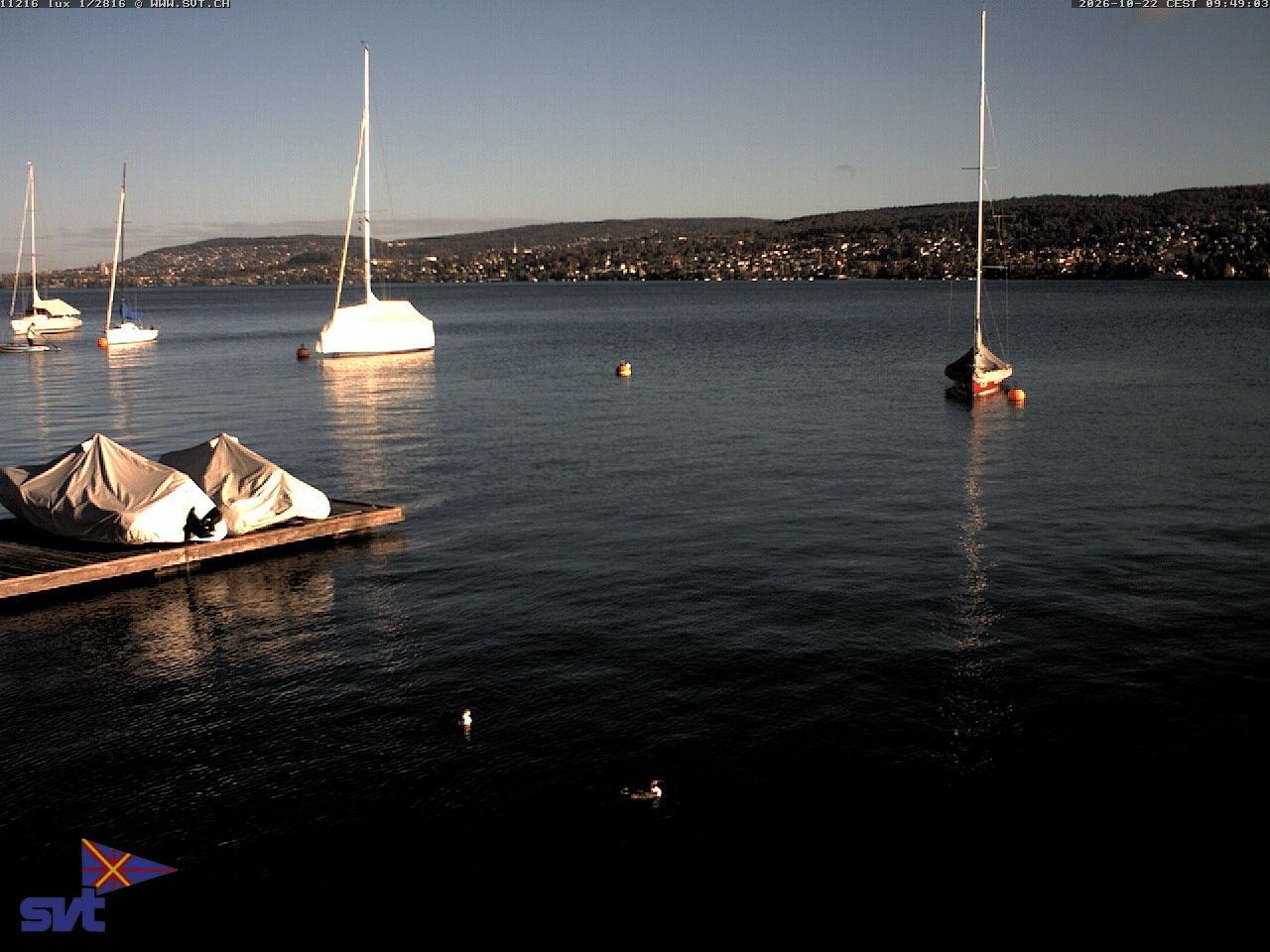 Thalwil › Osten: Zürichsee