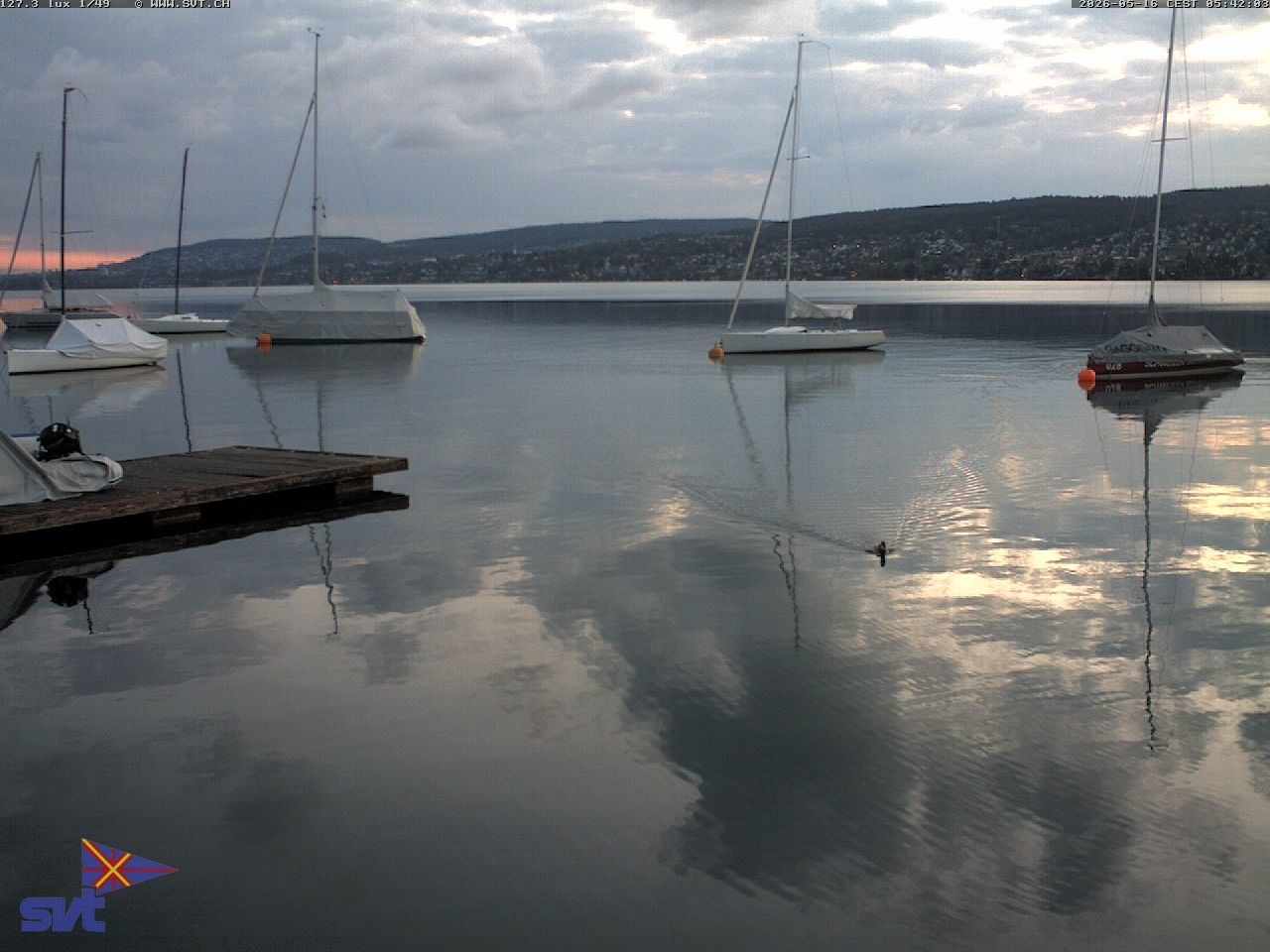 Thalwil › Osten: Zürichsee