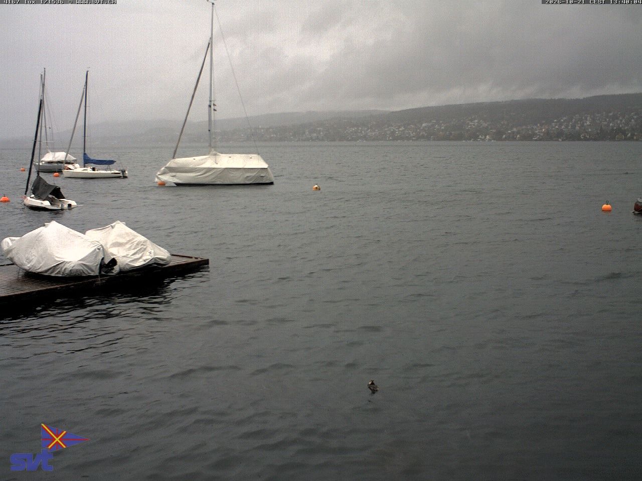 Thalwil › Osten: Zürichsee