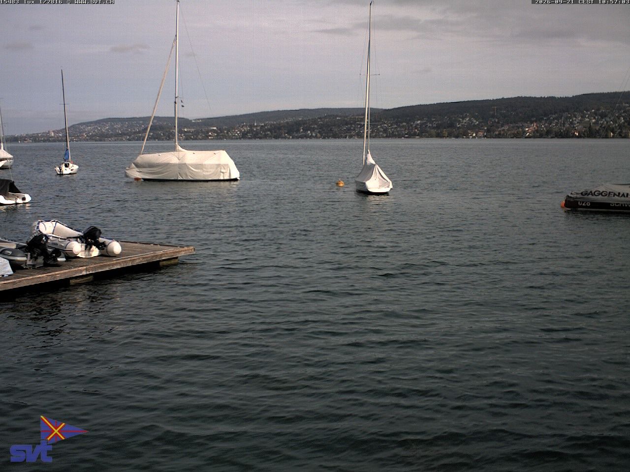 Thalwil › Osten: Zürichsee