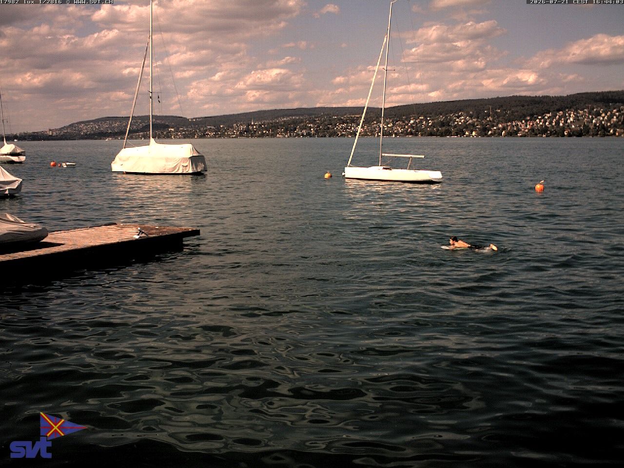 Thalwil › Osten: Zürichsee