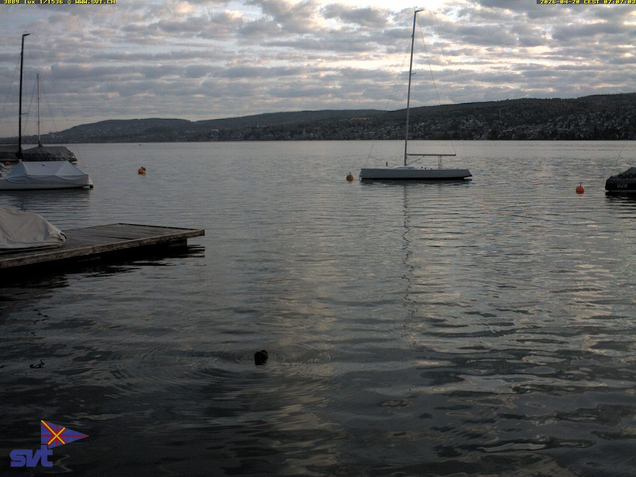 Thalwil › Osten: Zürichsee