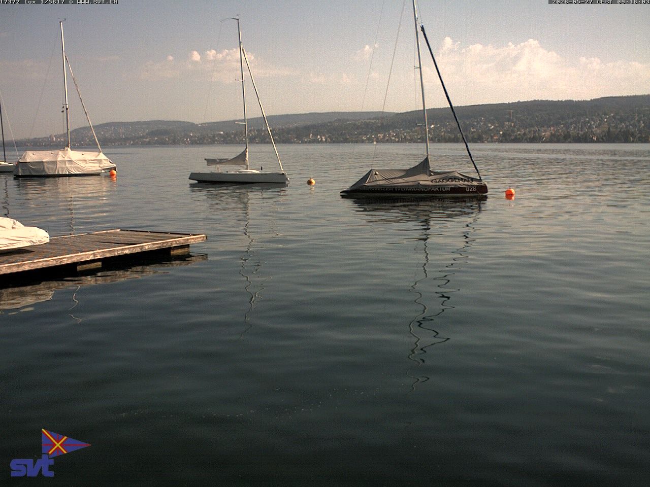 Thalwil › Osten: Zürichsee