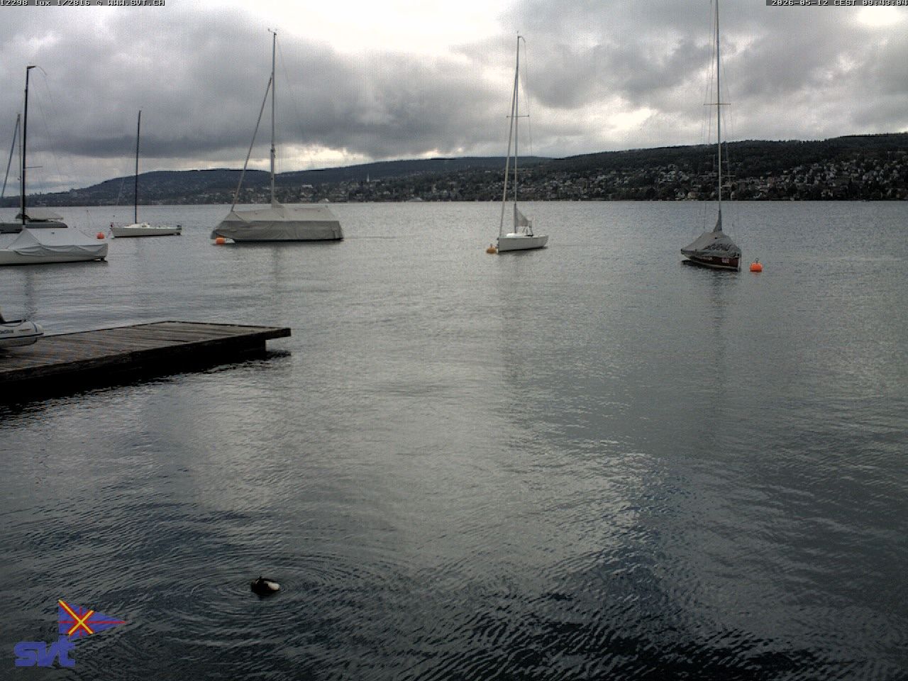 Thalwil › Osten: Zürichsee