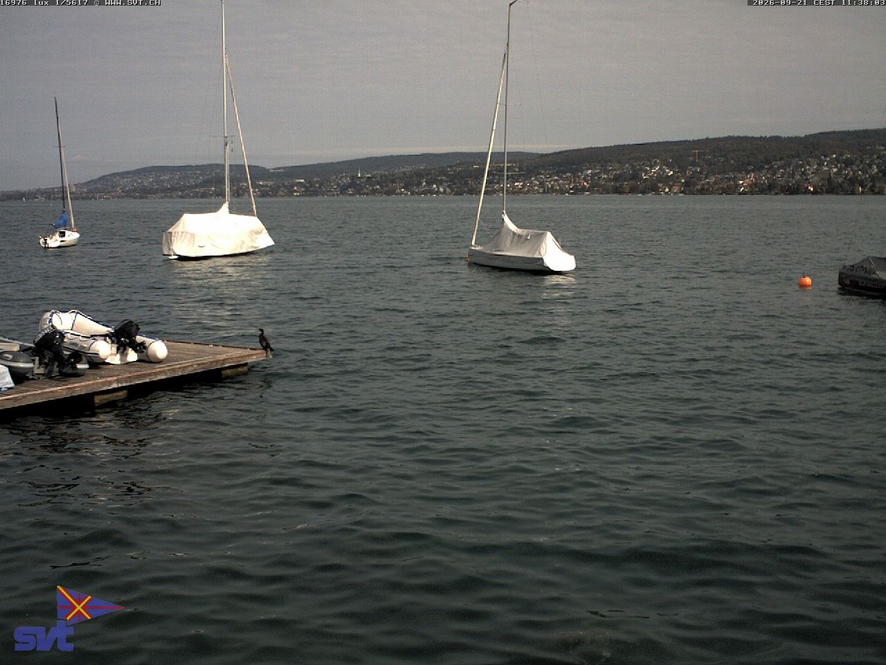Thalwil › Osten: Zürichsee