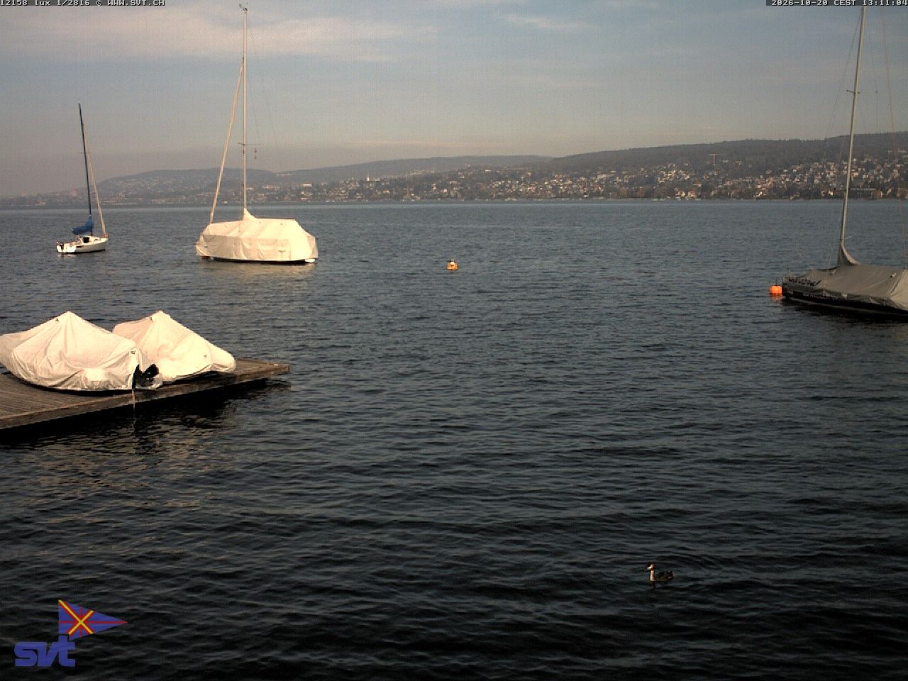 Thalwil › Osten: Zürichsee