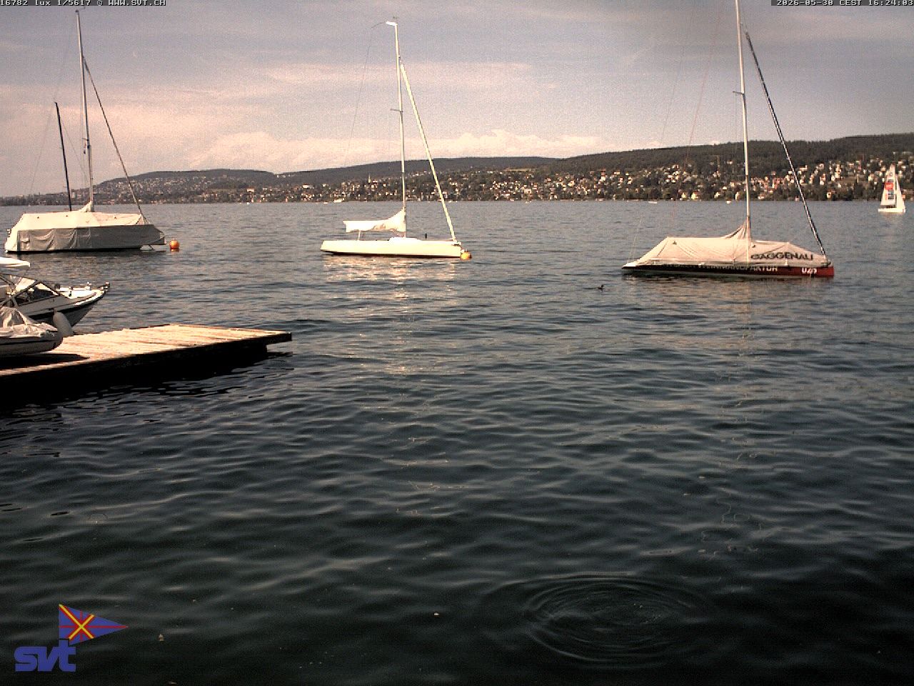Thalwil › Osten: Zürichsee
