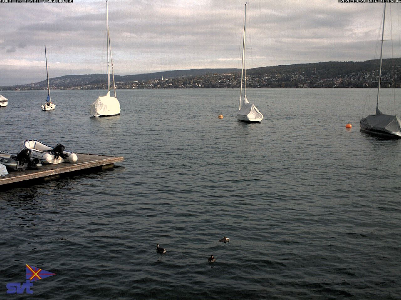 Thalwil › Osten: Zürichsee