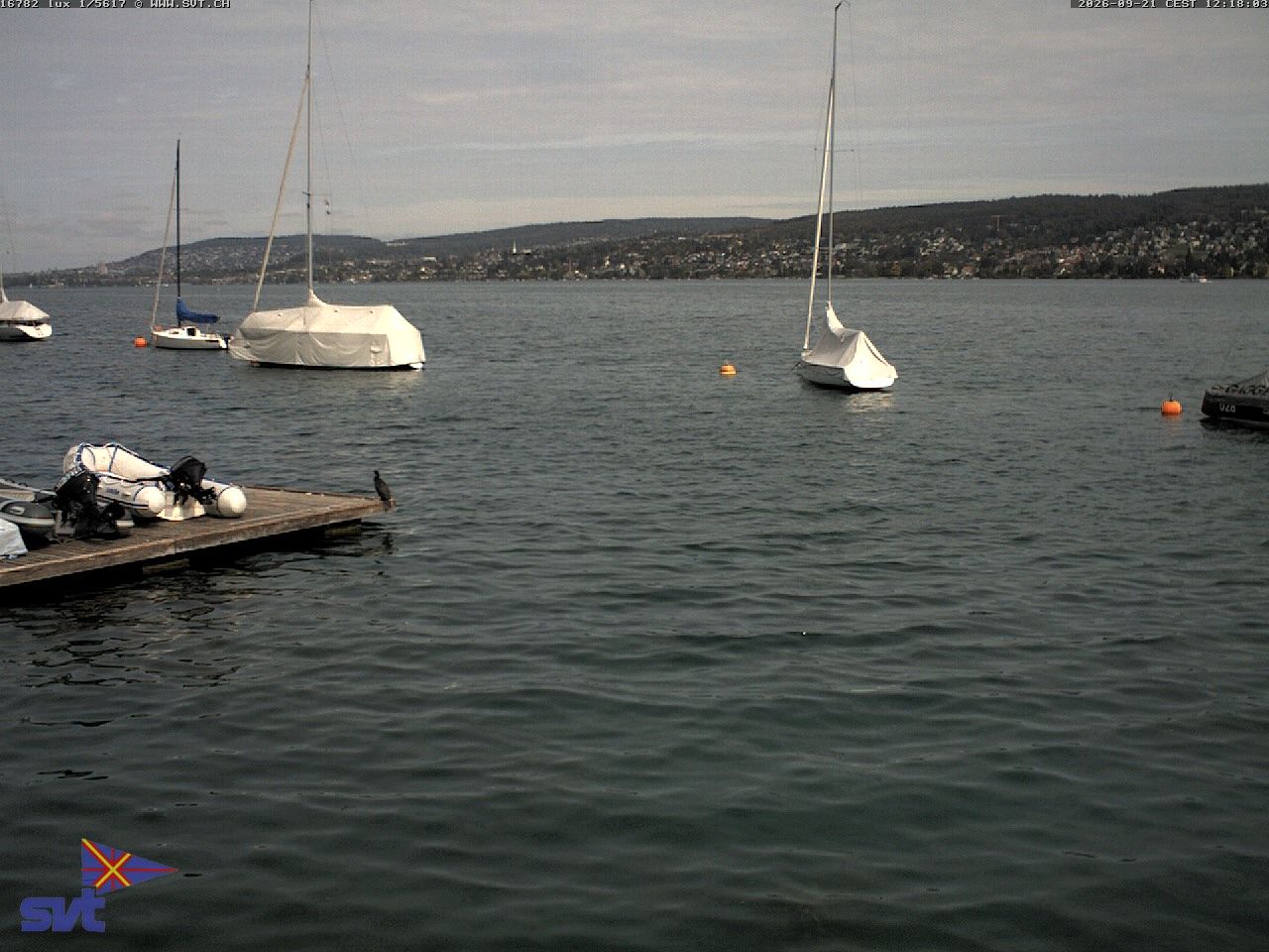 Thalwil › Osten: Zürichsee