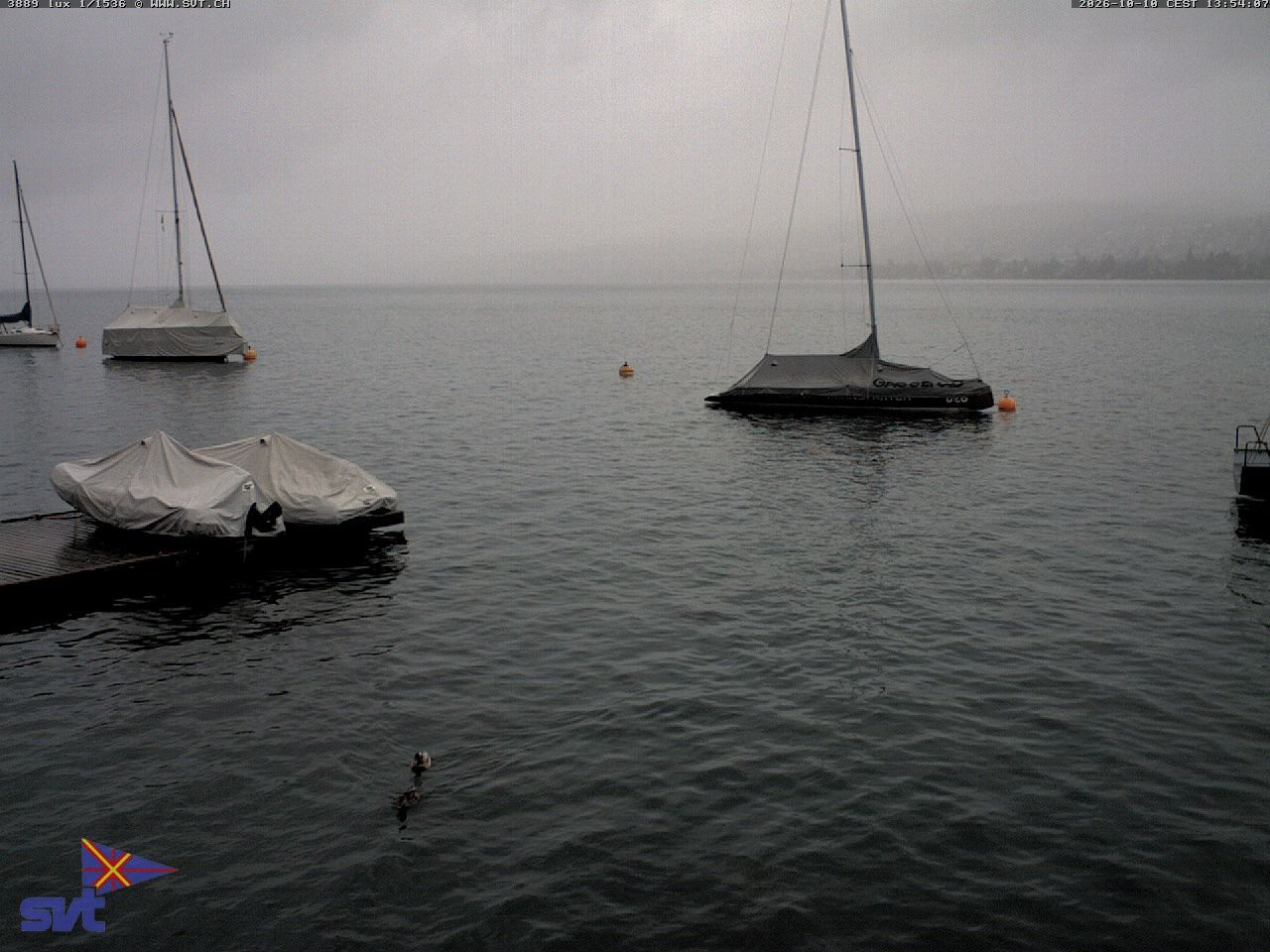 Thalwil › Osten: Zürichsee