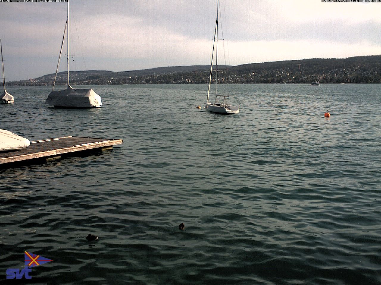 Thalwil › Osten: Zürichsee