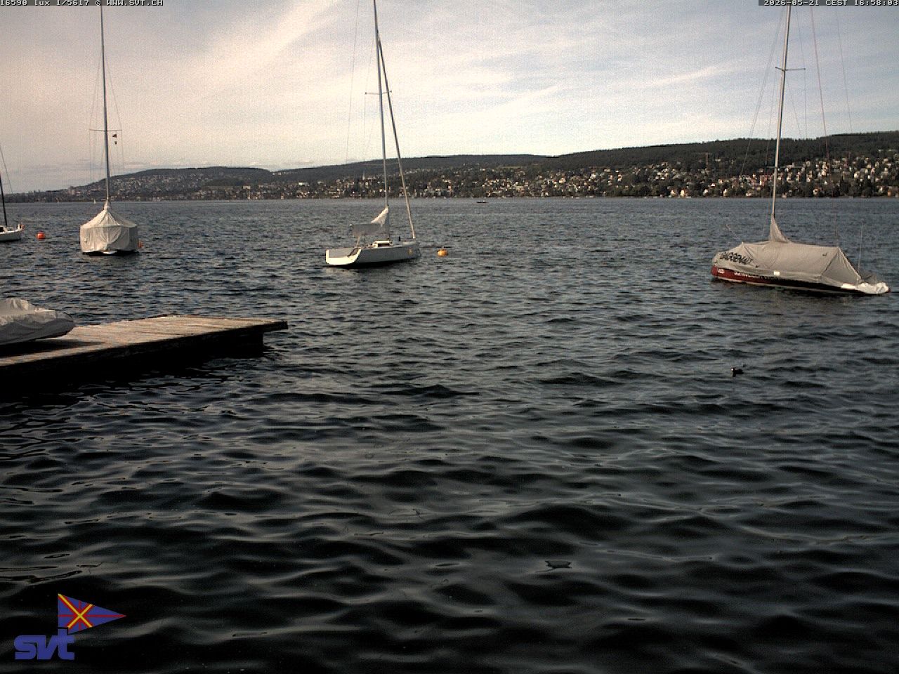 Thalwil › Osten: Zürichsee